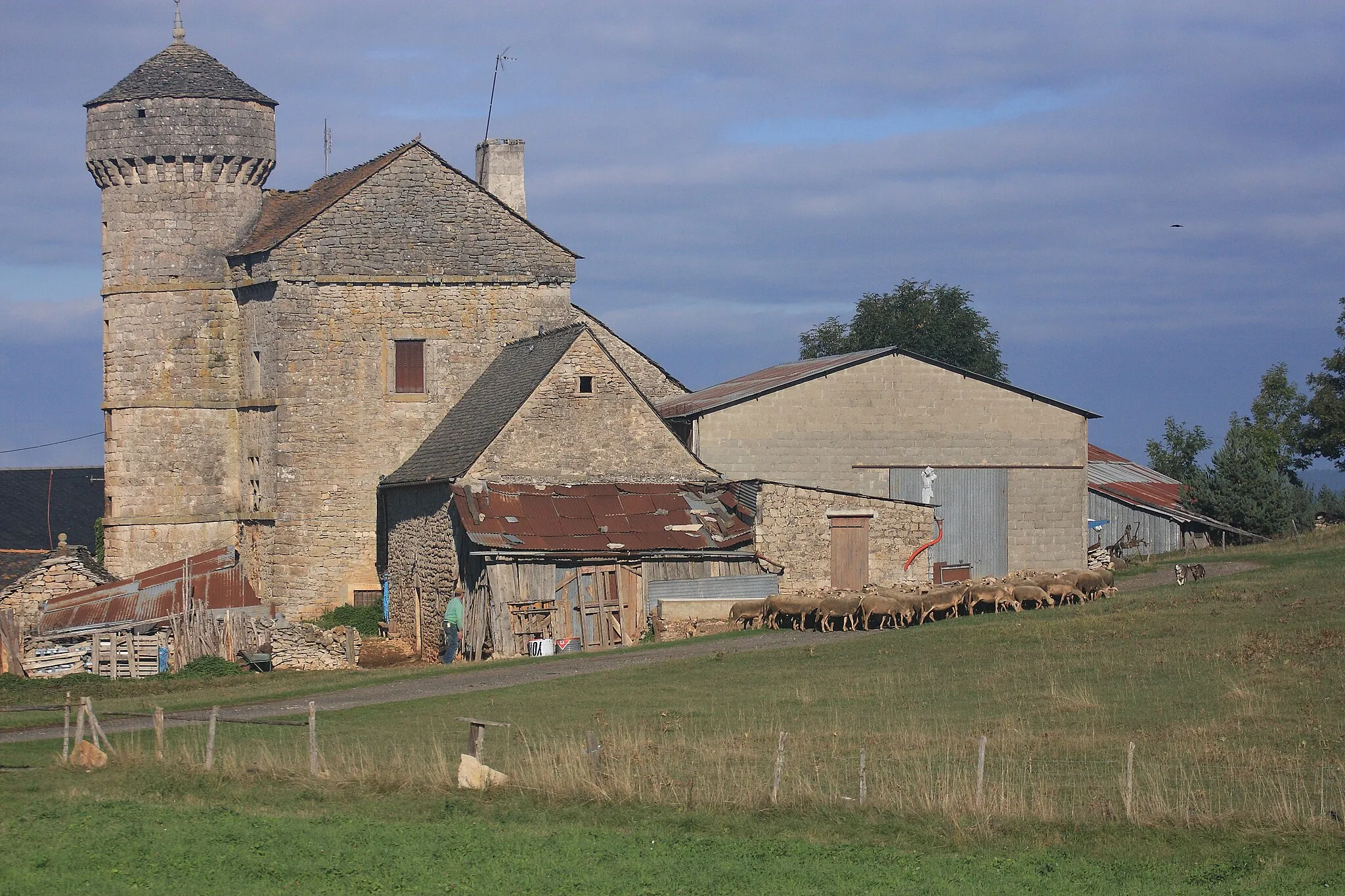 Photo showing: Sortie des brebis à la ferme fortifiée du Choizal
