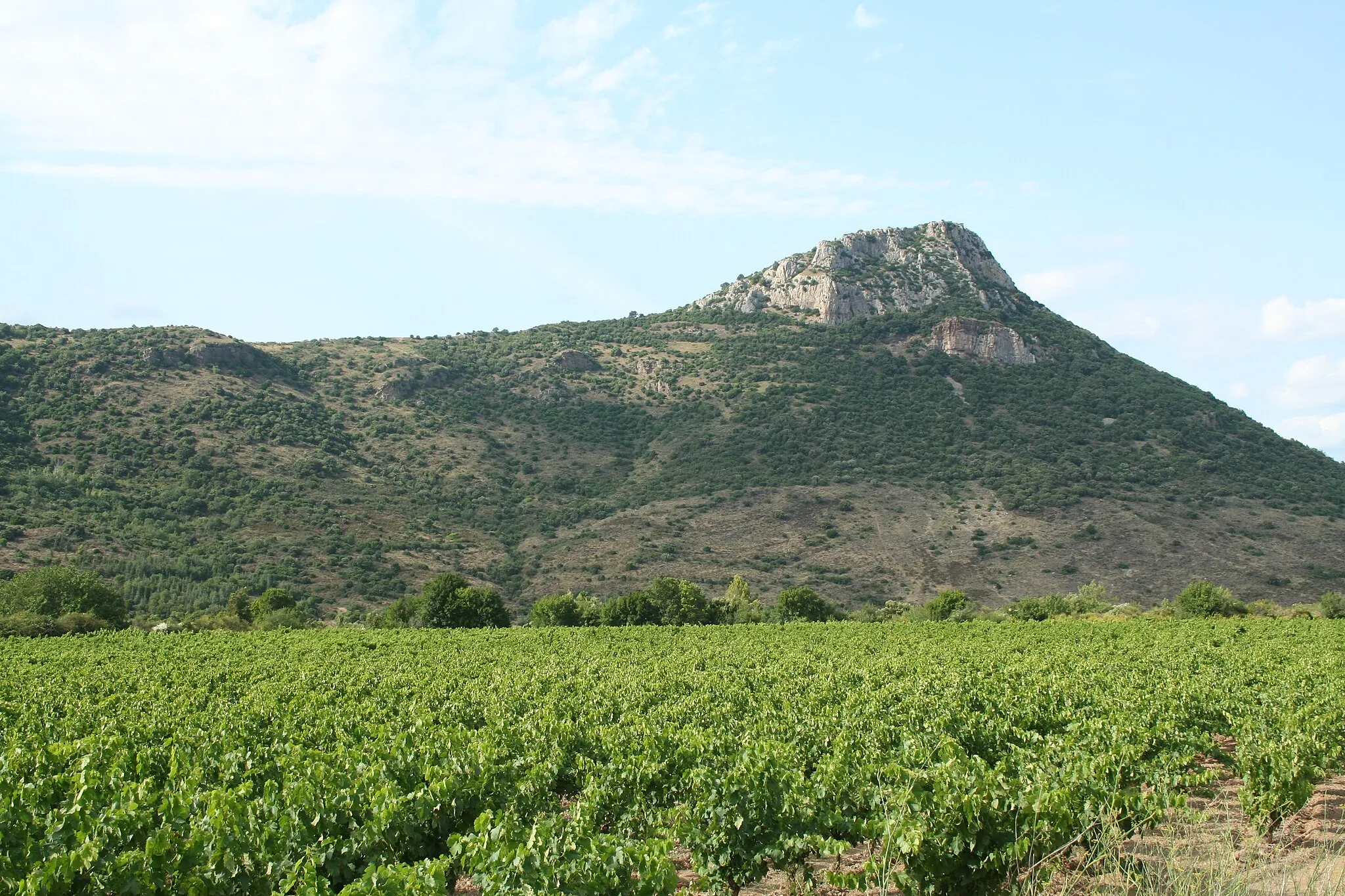 Photo showing: Cabrières (Hérault) - Pic de Vissou (480 m), vu depuis la route de Valmascle.