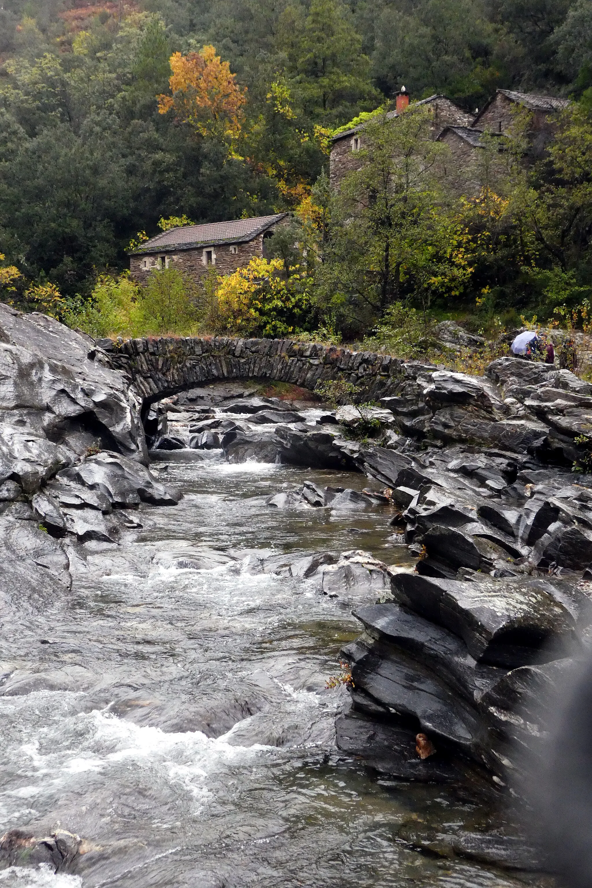 Photo showing: La Cèze au moulin du Roure