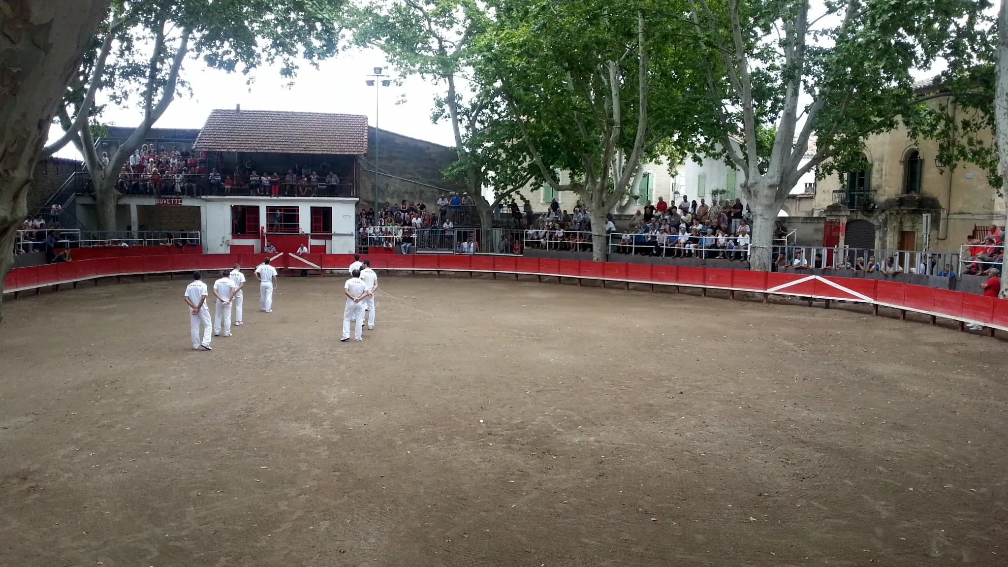 Photo showing: Capelado aux arènes du Cailar le 7 août 2013.