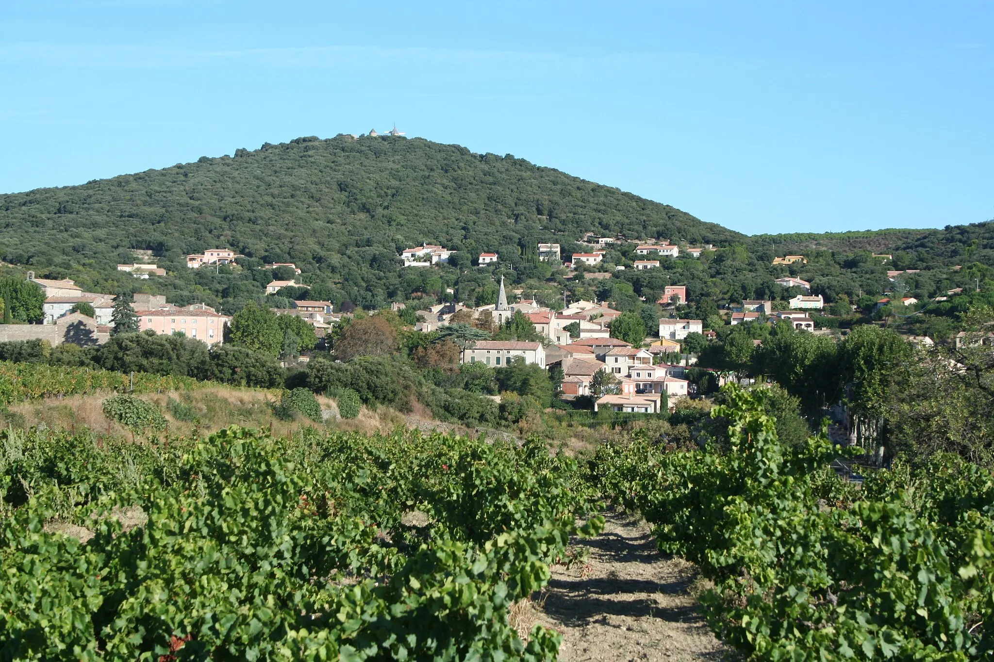 Photo showing: Faugères (Hérault) - Vue générale sur le village. À l'arrière plan, les trois moulins à vents. Au premier plan, le vignoble.