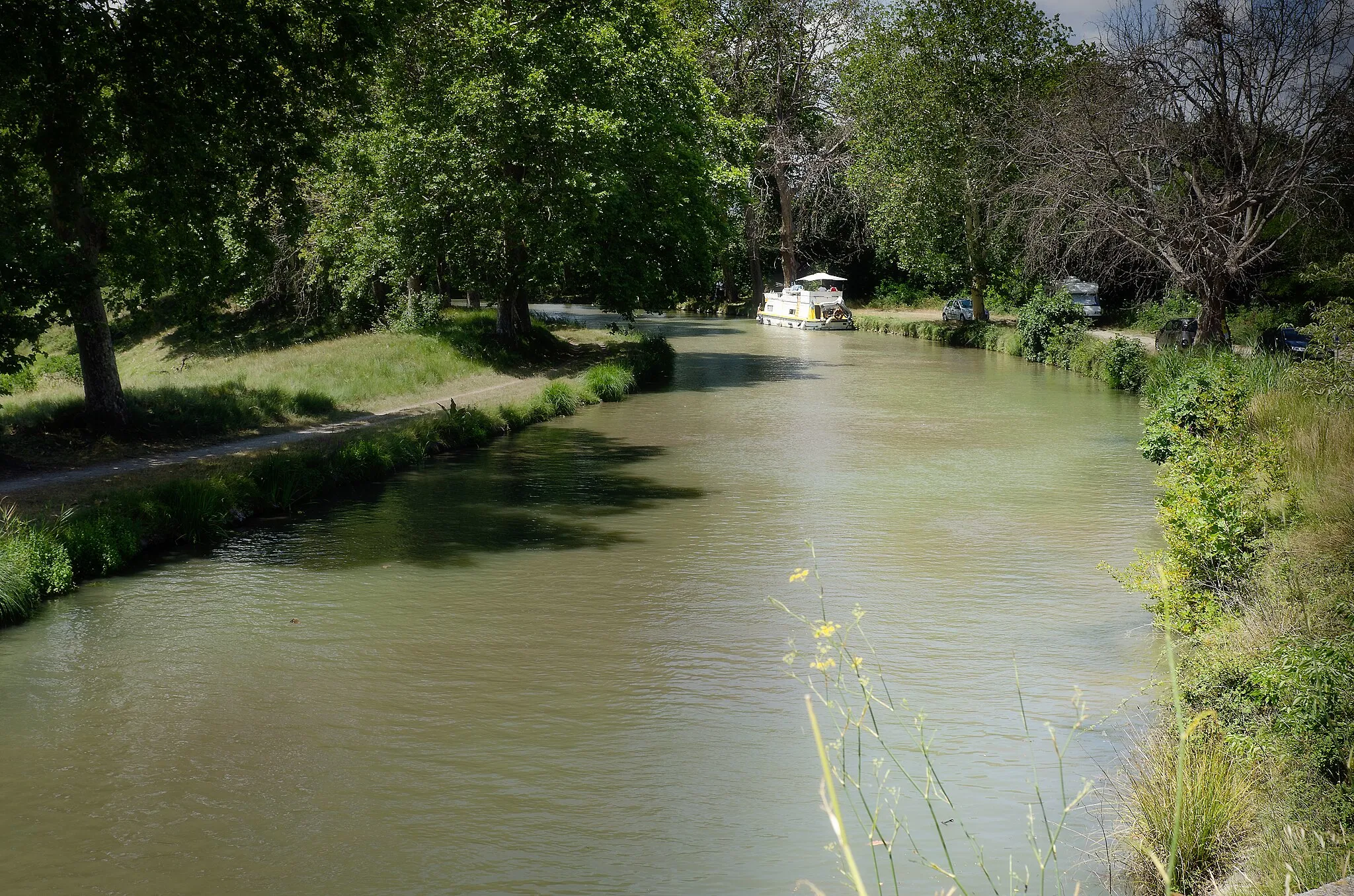 Photo showing: le Canal du Midi