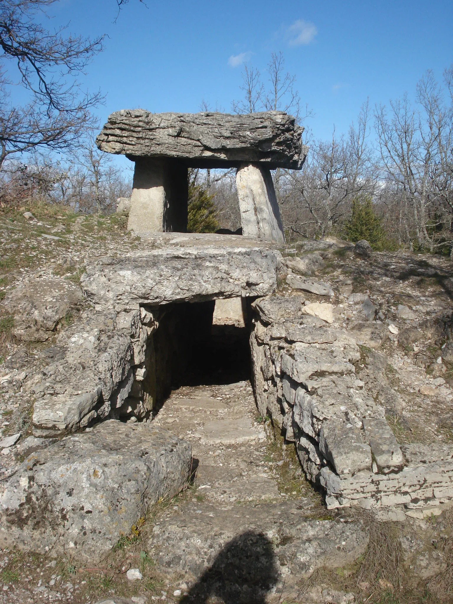 Photo showing: dolmen de Ferrussac à La Vacquerie-et-Saint-Martin-de-Castries (Hérault)