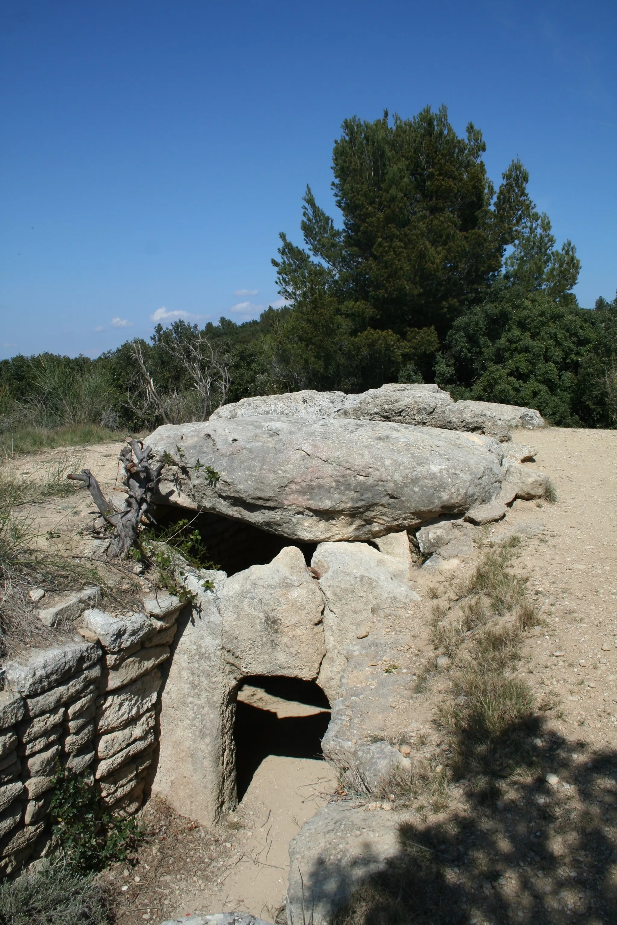 Photo showing: Le Pouget (Hérault) - entrée du dolmen.