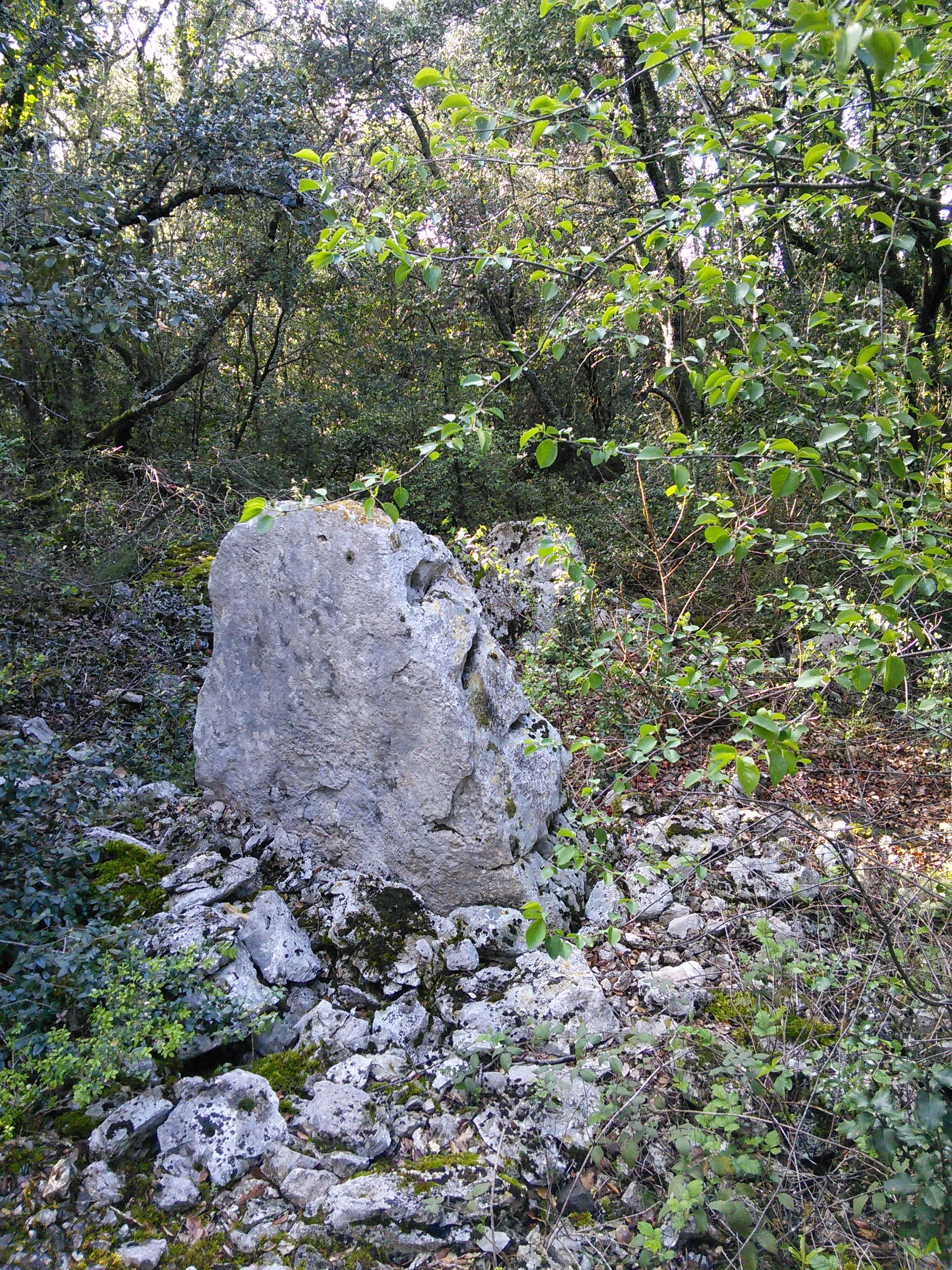 Photo showing: "Megalith of Lubac" located in the municipality of Mas-de-Londres (Hérault - France).