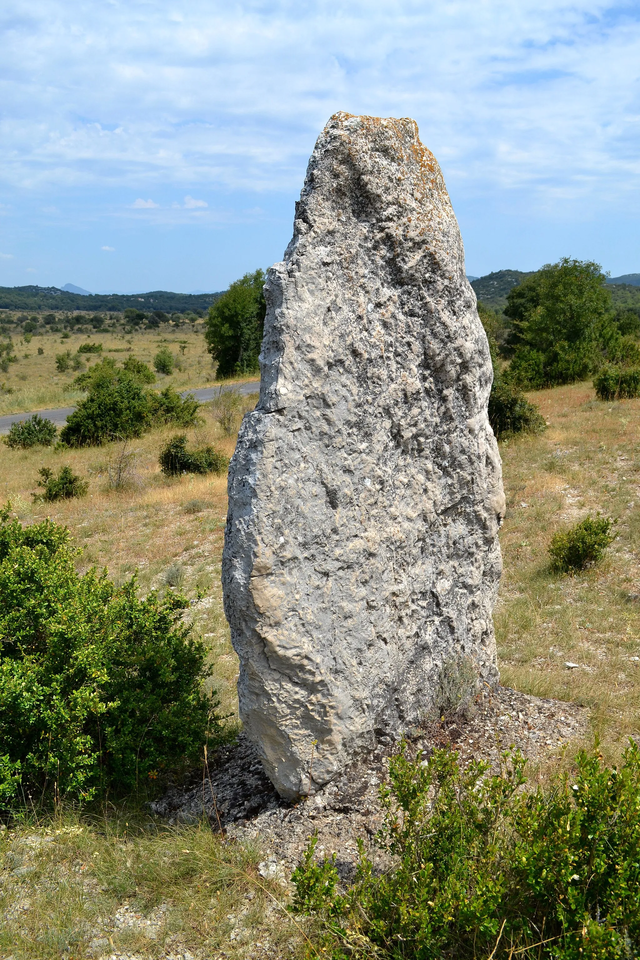 Photo showing: Menhir de la Cisternette à La Vacquerie-et-Saint-Martin-de-Castries (34).