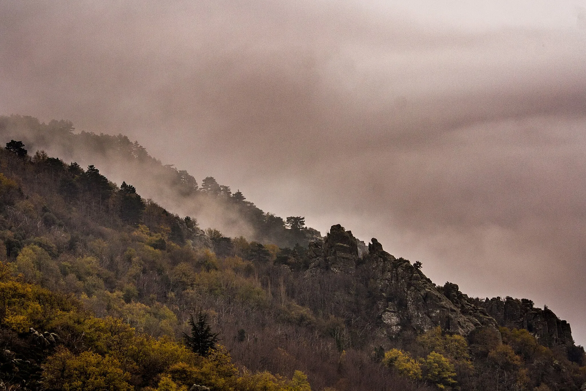 Photo showing: Parc naturel régional du Haut-Languedoc