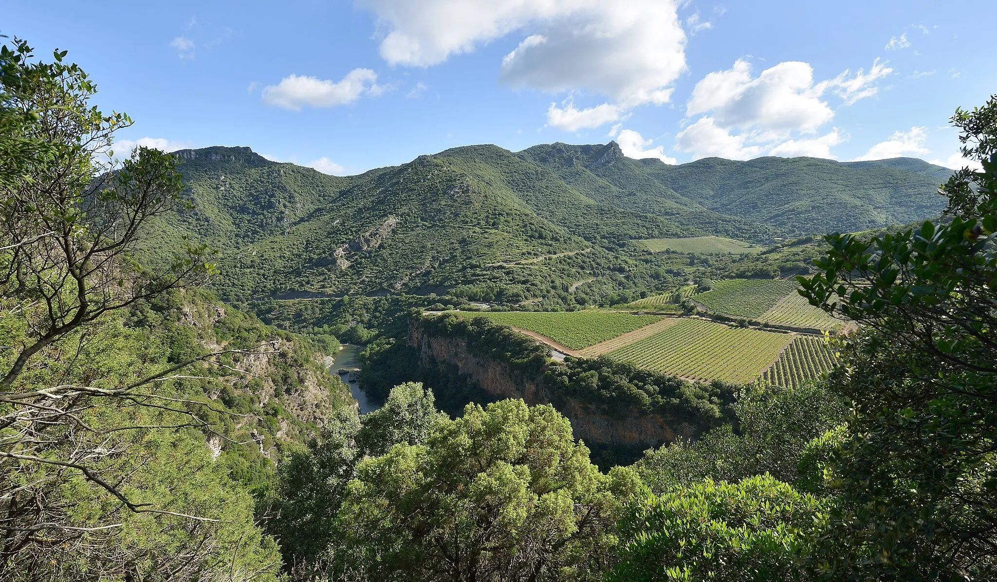 Photo showing: The Orb River in the Haut-Languedoc Regional Natural Park. Vieussan, Hérault, France.