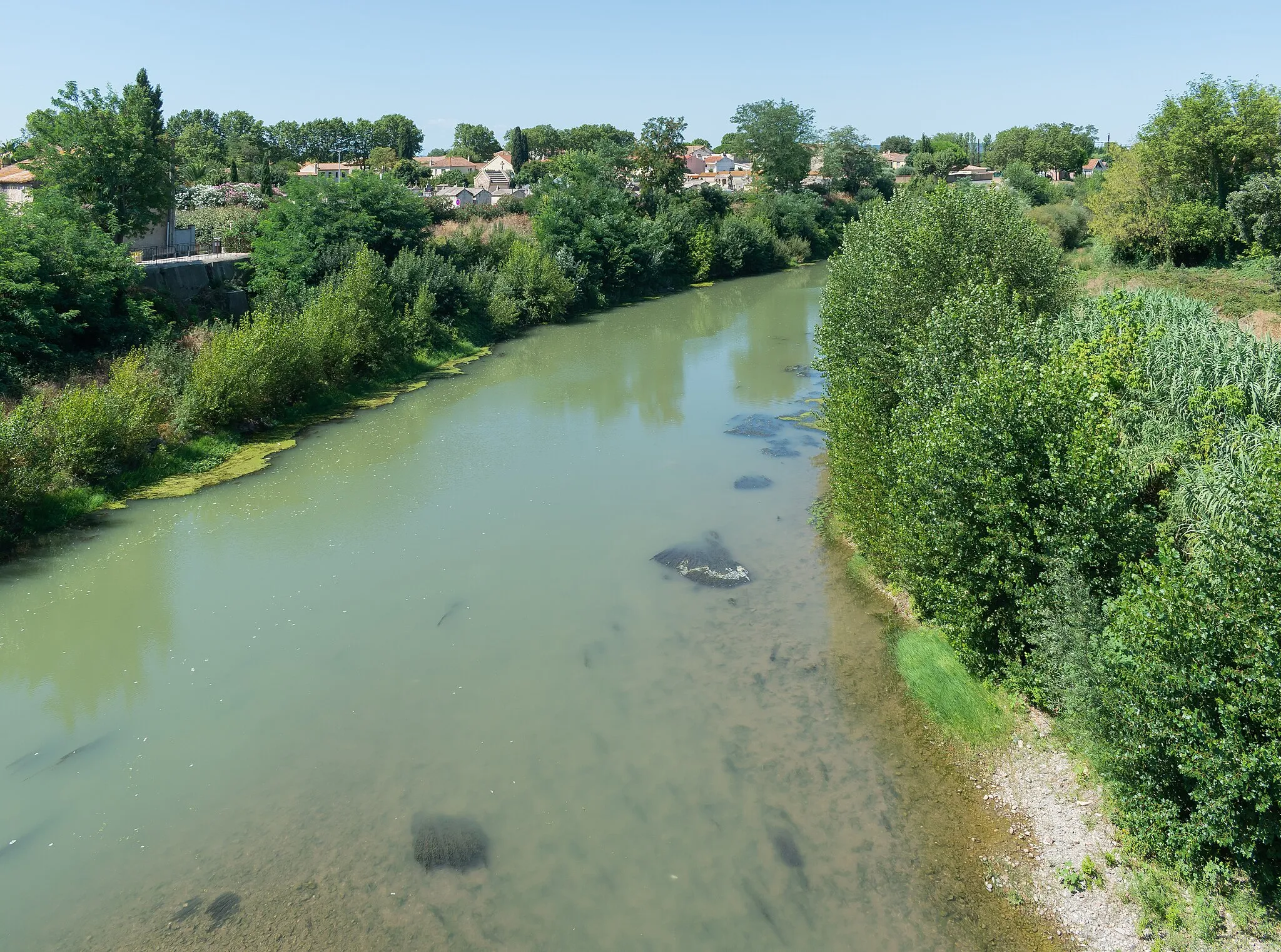 Photo showing: Aude river in Coursan, Aude department, France