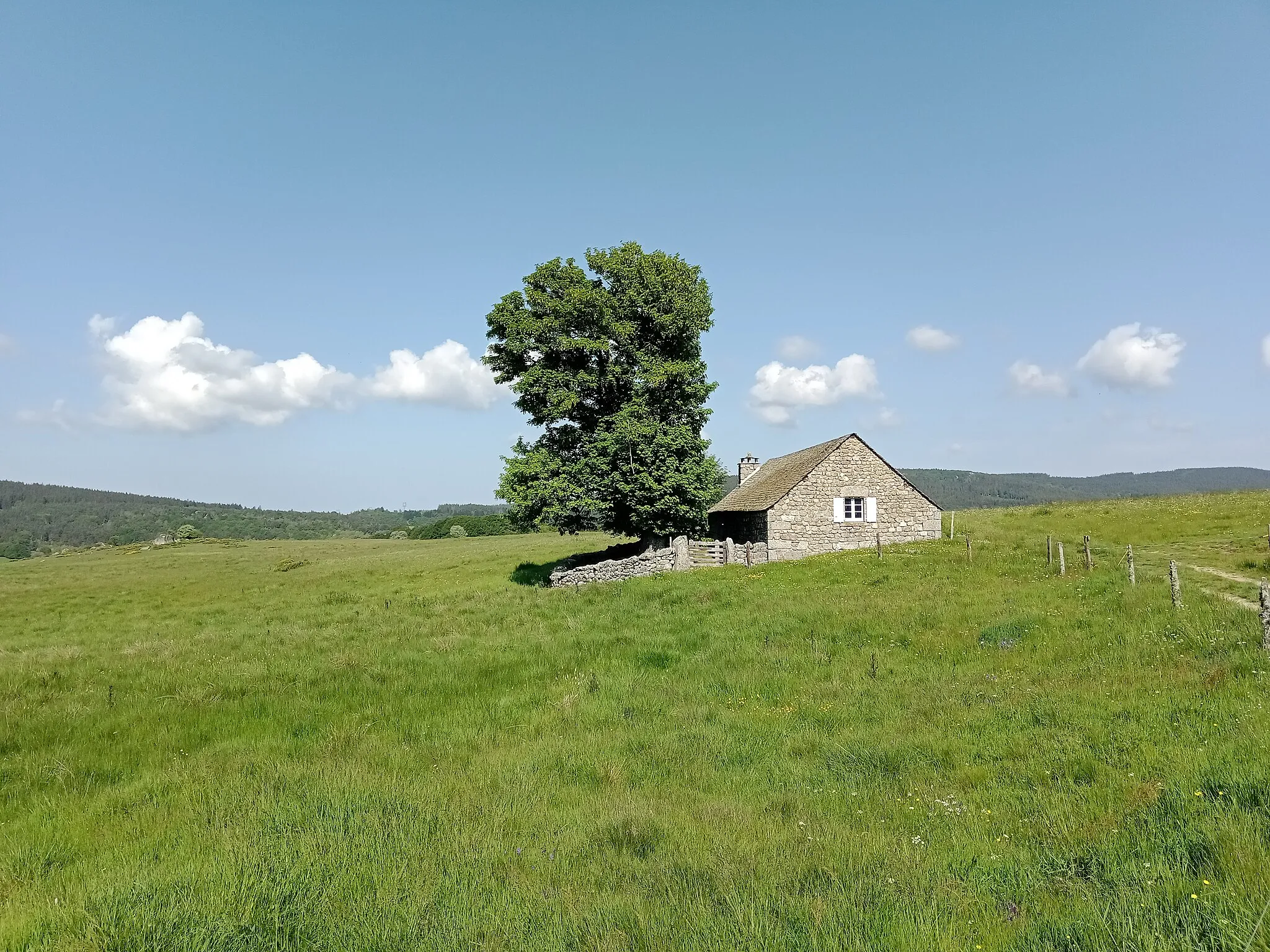 Photo showing: Le buron du Sauvage, Chanaleilles, Haute-Loire, France