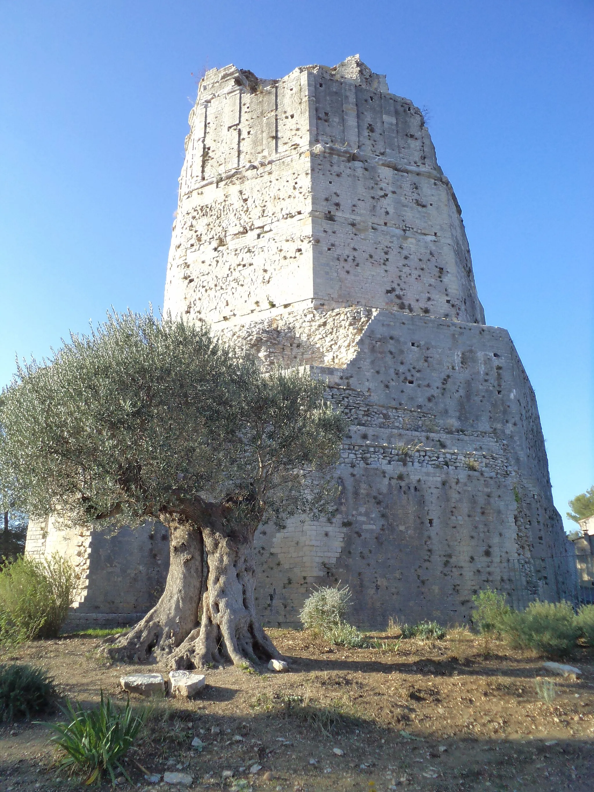 Photo showing: La Tour Magne