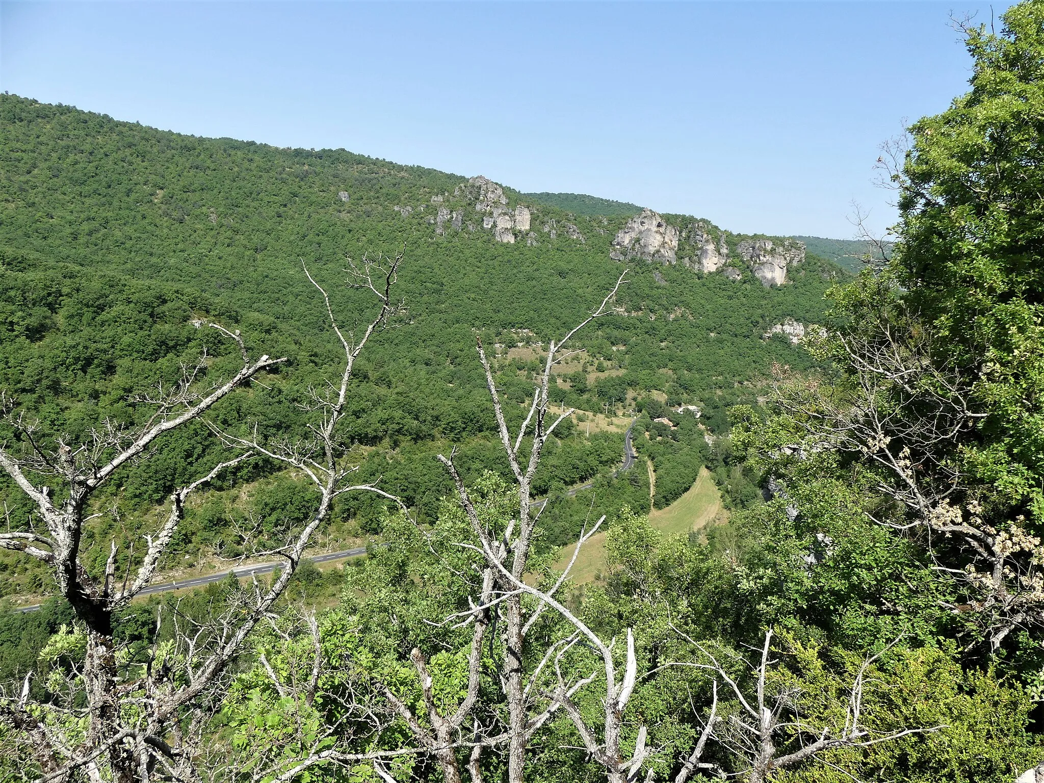 Photo showing: Les gorges de la Dourbie , entre les communes de Revens (au premier plan, département du Gard) et Nant (au second plan, département de l'Aveyron), France. Vue prise depuis la route départementale 159.