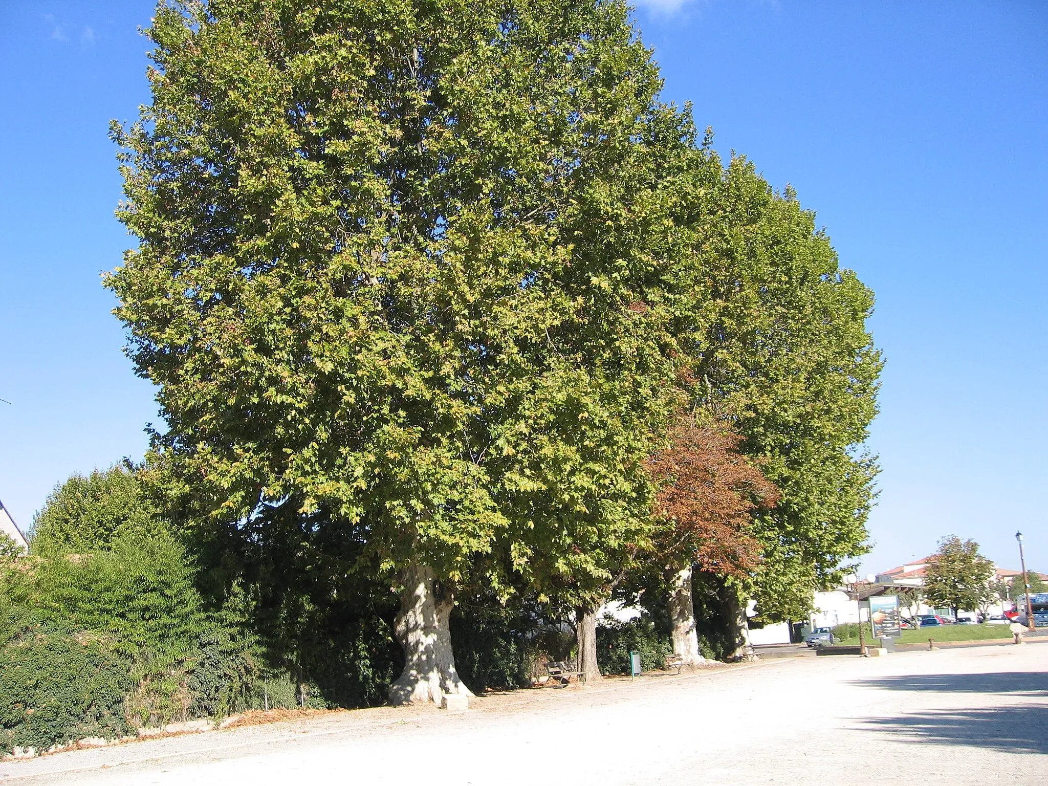 Photo showing: Chemins de fer de l'Hérault - Lattes, emplacement de l'ancienne gare. Au premier plan, la plate-forme des voies transformée en esplanade. Au fond, l'ancien passage à niveau aménagé en carrefour giratoire.