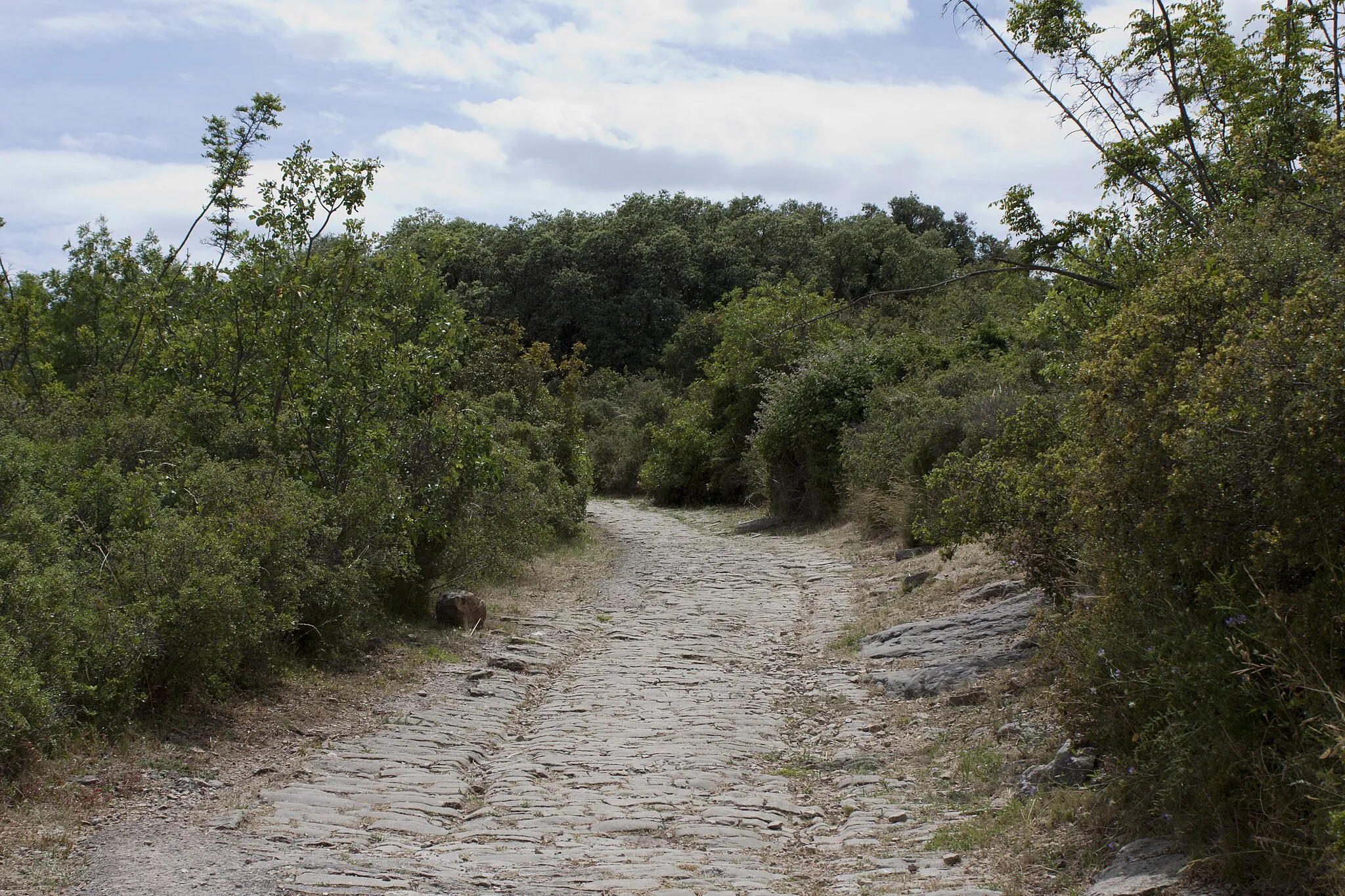 Photo showing: The paved street of the Via domitia is the main street through the oppidum..