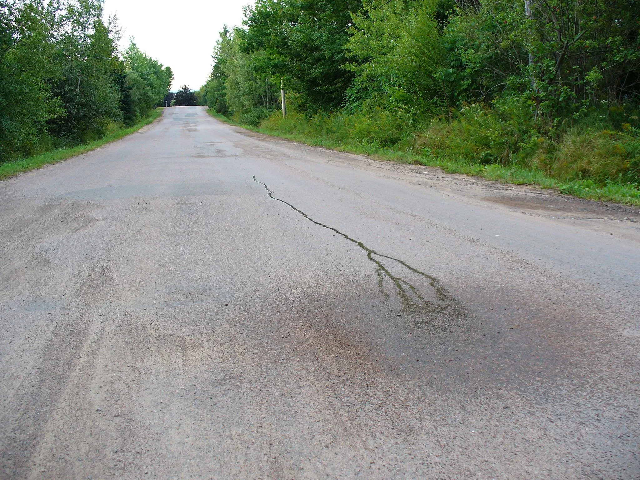 Photo showing: Poured water running "uphill"