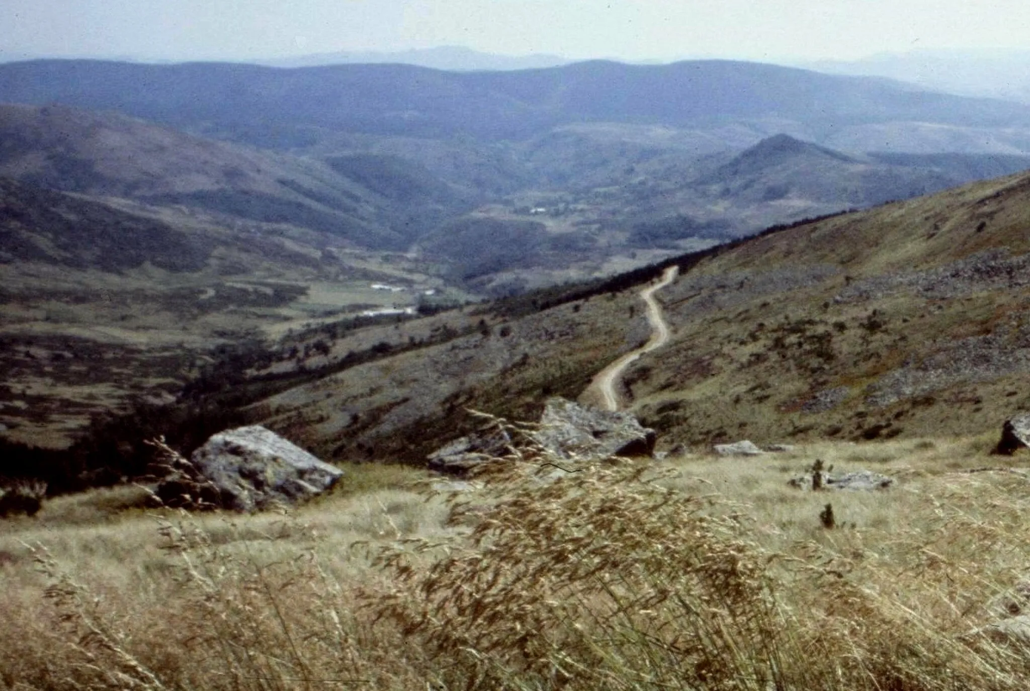 Photo showing: Lozere Le Mont Lozere 081979