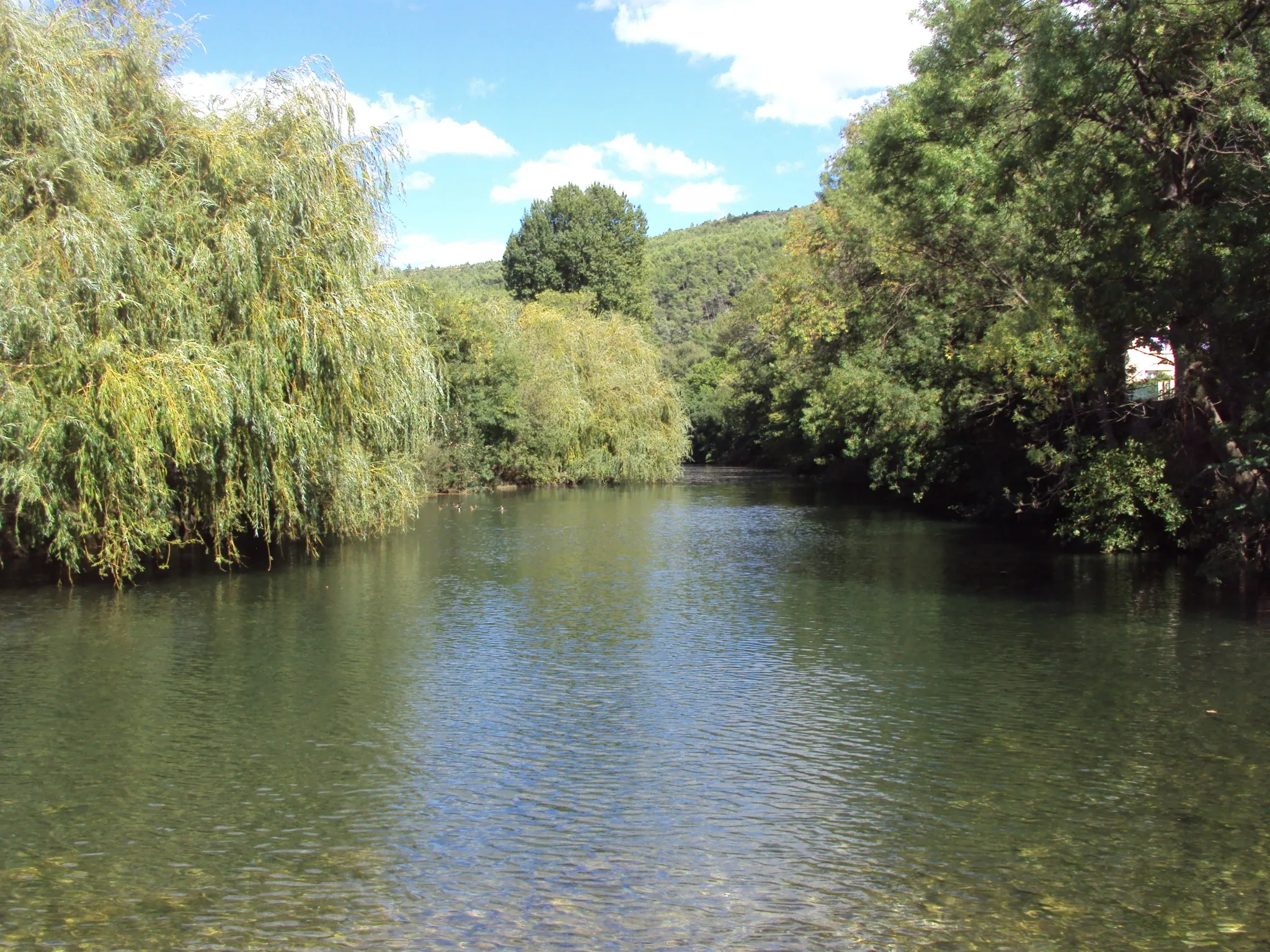 Photo showing: La rivière La Cesse à Bize-Minervois (Aude, France)