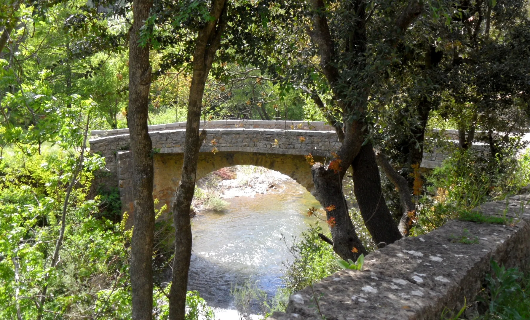 Photo showing: Bridge on Orbieu in Lanet, Aude, France