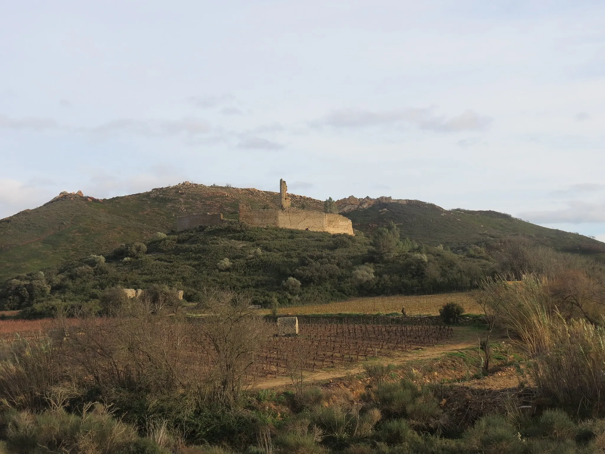 Photo showing: Château de Saint-Pierre-des-Clars, Montredon-des-Corbières, Aude, Languedoc-Roussillon, France.

Camera location 43° 10′ 09.12″ N, 2° 55′ 28.48″ E View this and other nearby images on: OpenStreetMap 43.169200;    2.924578