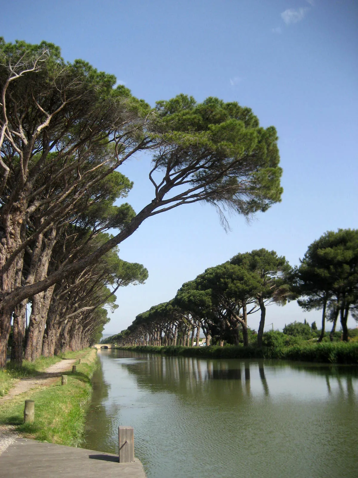 Photo showing: Canal de jonction  (Canal de Narbonne).  Just north of Ecluse de Saint-Cyr.  Sallèles-d'Aude (département de l'Aude, France)