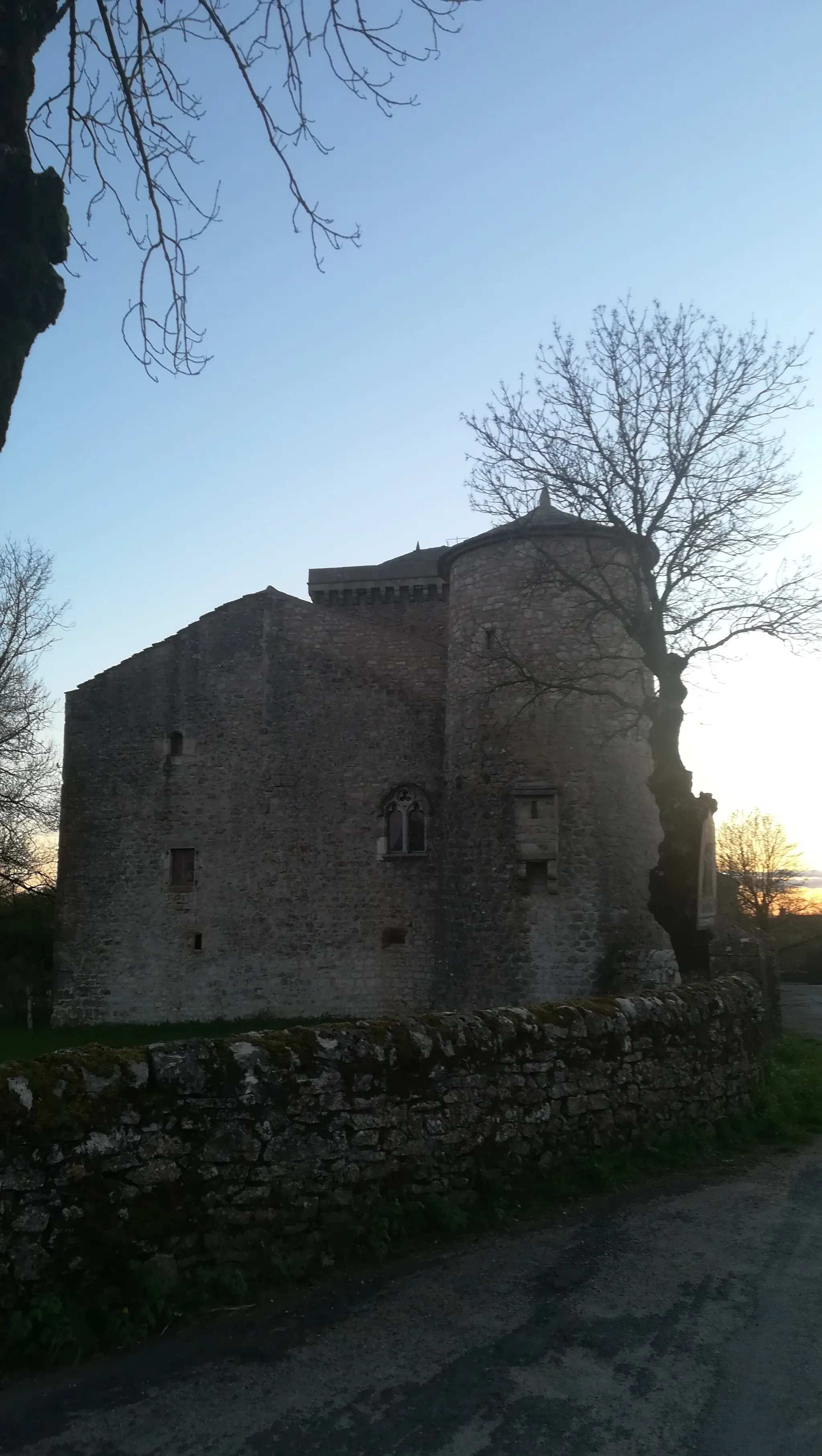 Photo showing: Le Château du Viala-du-Pas-de-Jaux