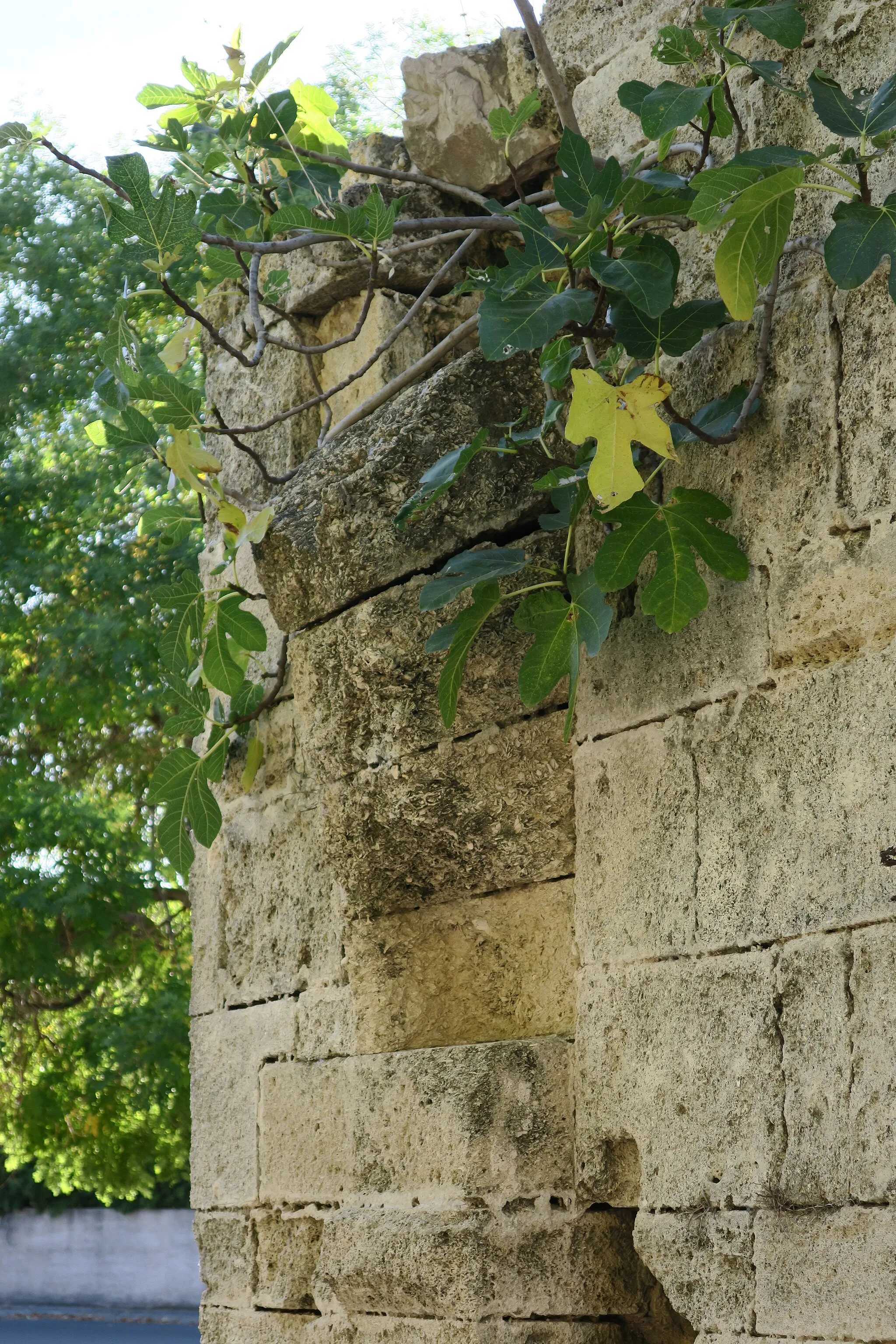 Photo showing: Lattes. Remains of "porte Lombarde", former gate on the medieval city walls. Start of the former arch.