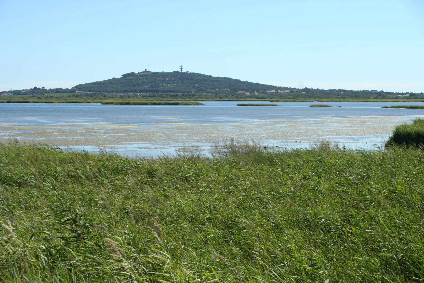 Photo showing: Étang du Bagnas, (Agde, Hérault) vu de la rive des Mougères