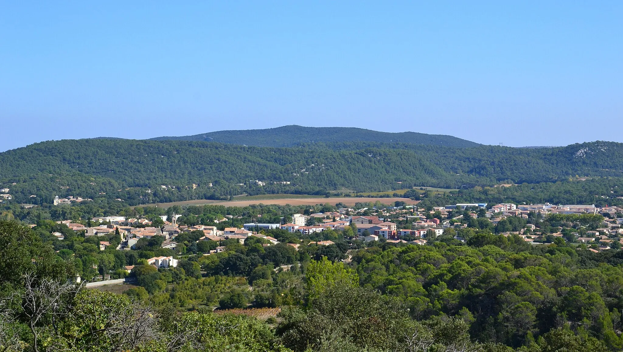 Photo showing: Saint-Mathieu-de-Tréviers, Hérault.