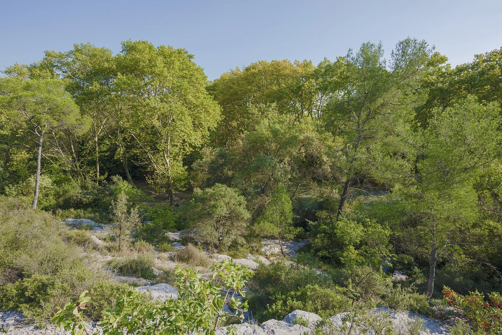Photo showing: Hidden by the trees the Lez River in the Domaine départemental de Restinclières. Prades-le-Lez, Hérault, France.