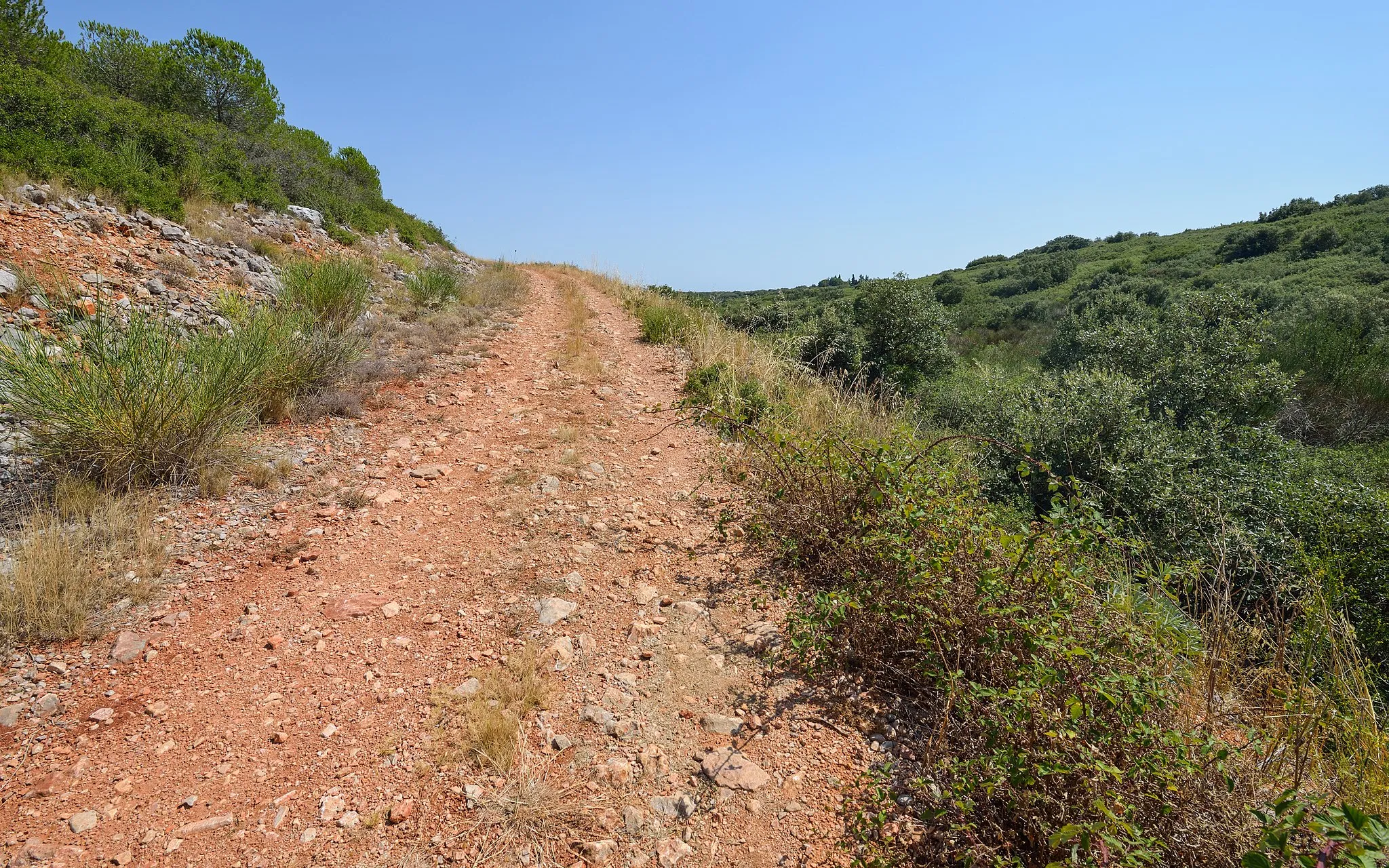 Photo showing: Trail in the garrigue on the Moure Hills. Montbazin, Hérault, France.