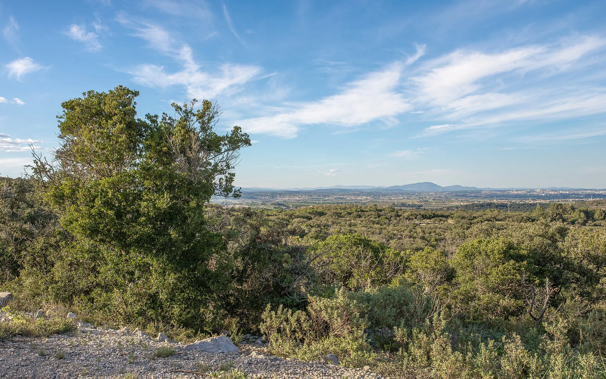 Photo showing: The plain of Fabrègues is a 20 km corridor which connects Montpellier in the Northeast to the Étang de Thau in the Southwest. View from the South in the La Gardiole Mountain in Fabrègues, Hérault, France.