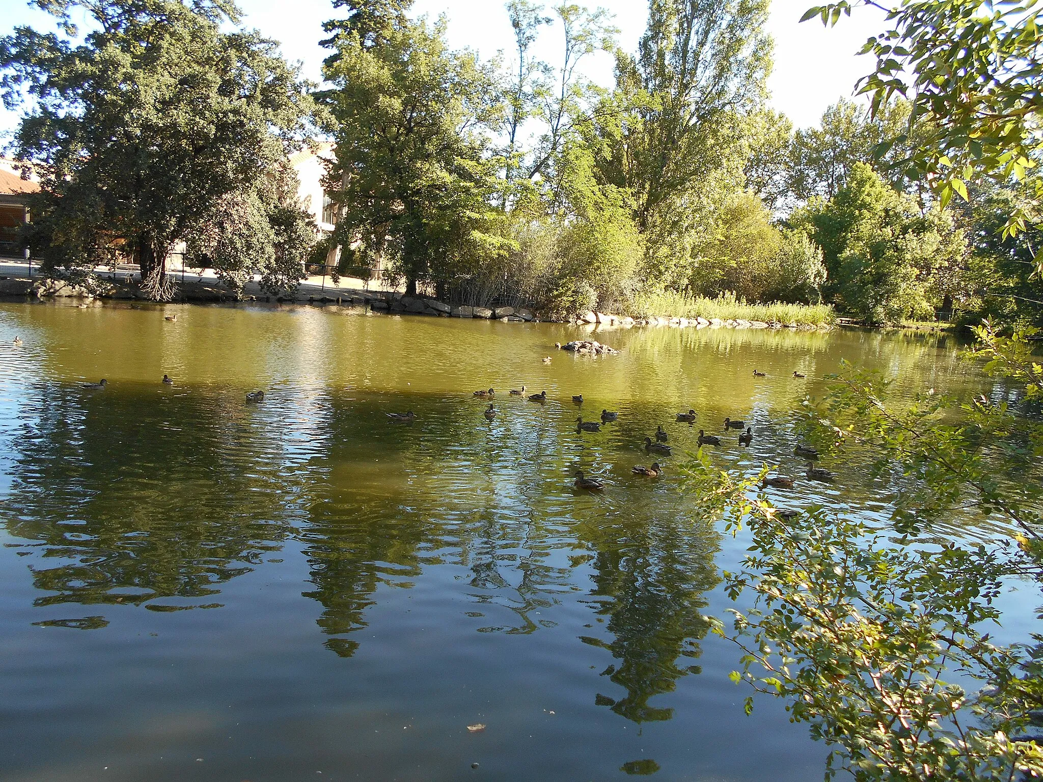 Photo showing: Parc de Clairfont