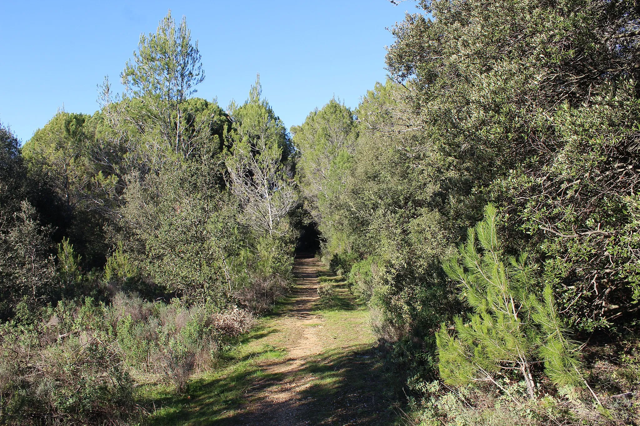 Photo showing: Sentier de garrigue dans les Costières (Générac, Gard)