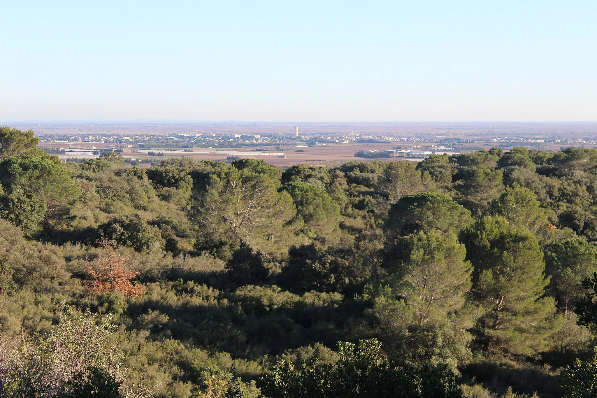 Photo showing: Vue sur Saint-Gilles et la Petite Camargue depuis le Puech Lachet, à Générac (Gard, France)