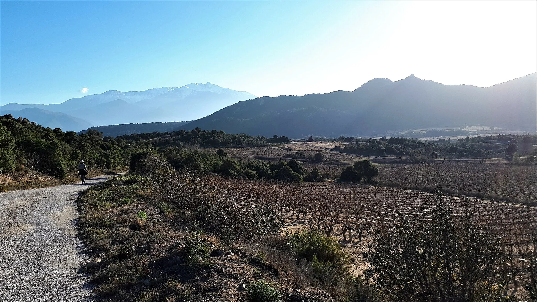 Photo showing: Le bassin de Tarerach dans le massif granitique de Millas.  Les produits de l'altération chimique et mécanique du granit ici (saprolite à grains fins et grus à gros grains) recouvrent une partie de ce bassin. Ils ont rendu la terre apte à la culture.
Le Roc del Moro en haut à droite; le Canigou au fond.