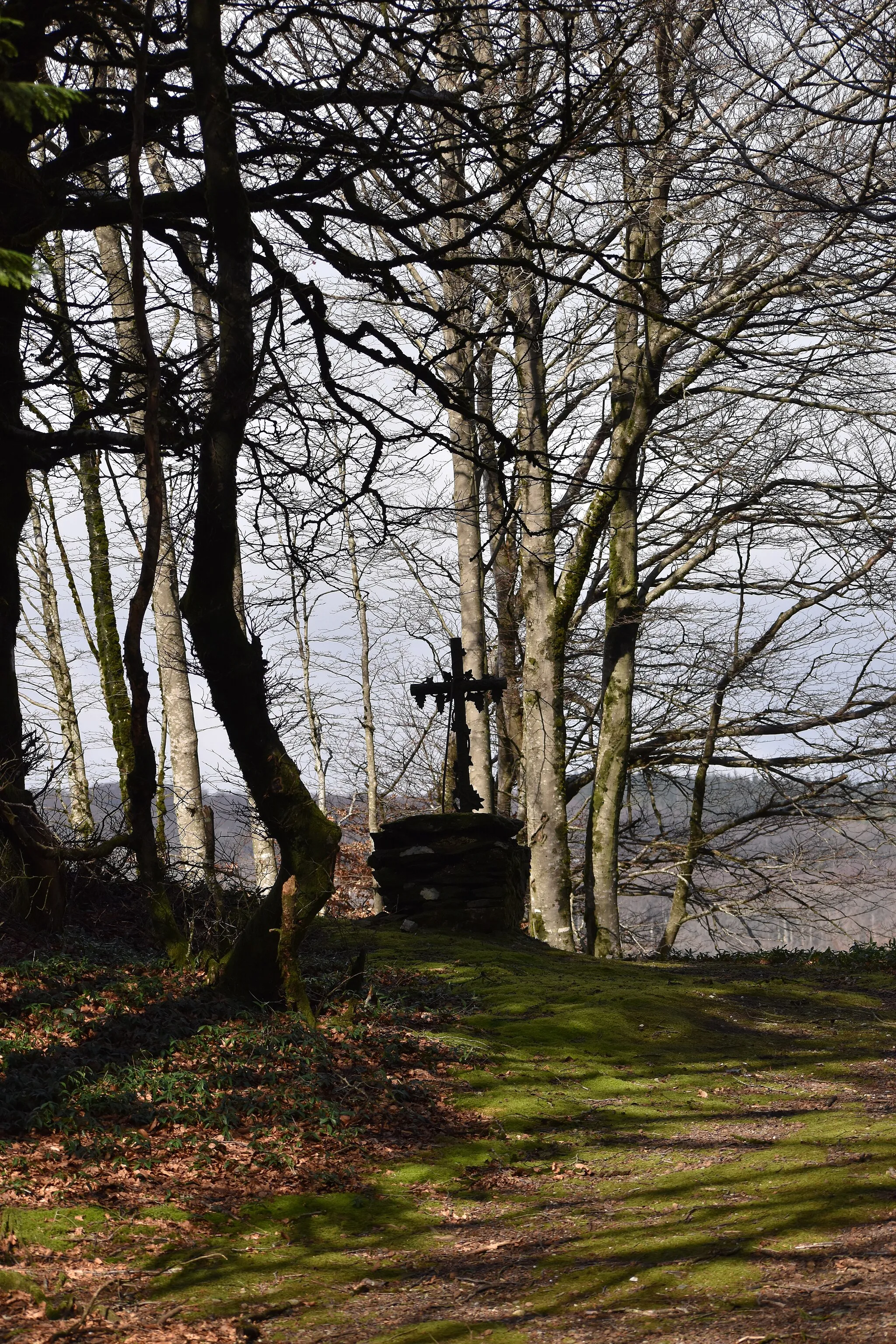 Photo showing: Forêt domaniale des Soulanes de Nore : Croix au col de Salettes