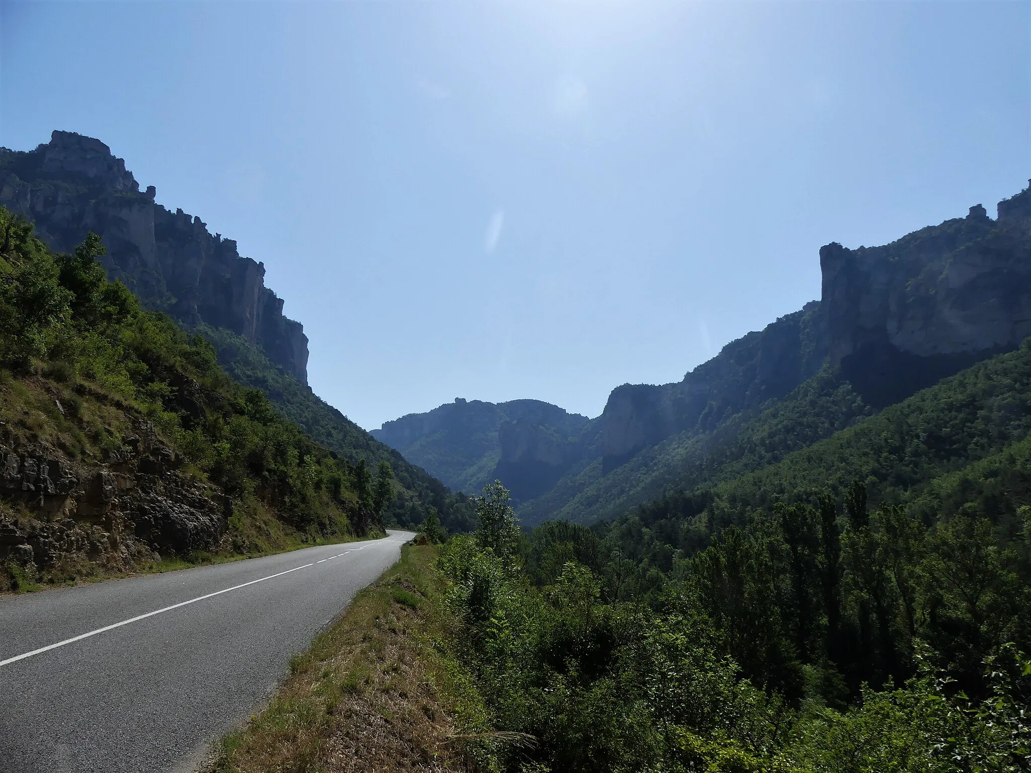 Photo showing: Les gorges de la Jonte vues depuis la route départementale 996, entre Le Rozier (à gauche, département de la Lozère) et Peyreleau (à droite, département de l'Aveyron), France.