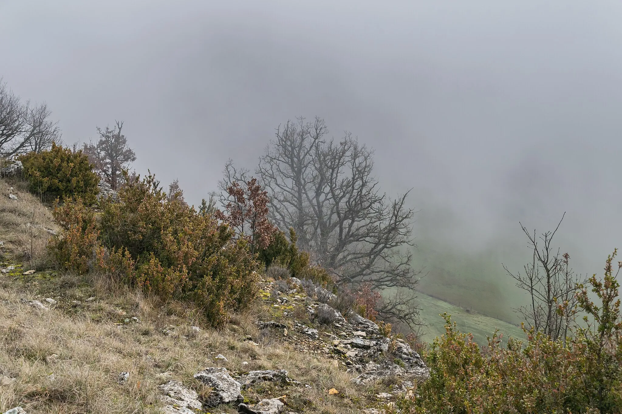 Photo showing: Foggy day on the slope of Truc de Saint-Bonnet-de-Chirac in commune of Saint-Bonnet-de-Chirac, Lozère, France