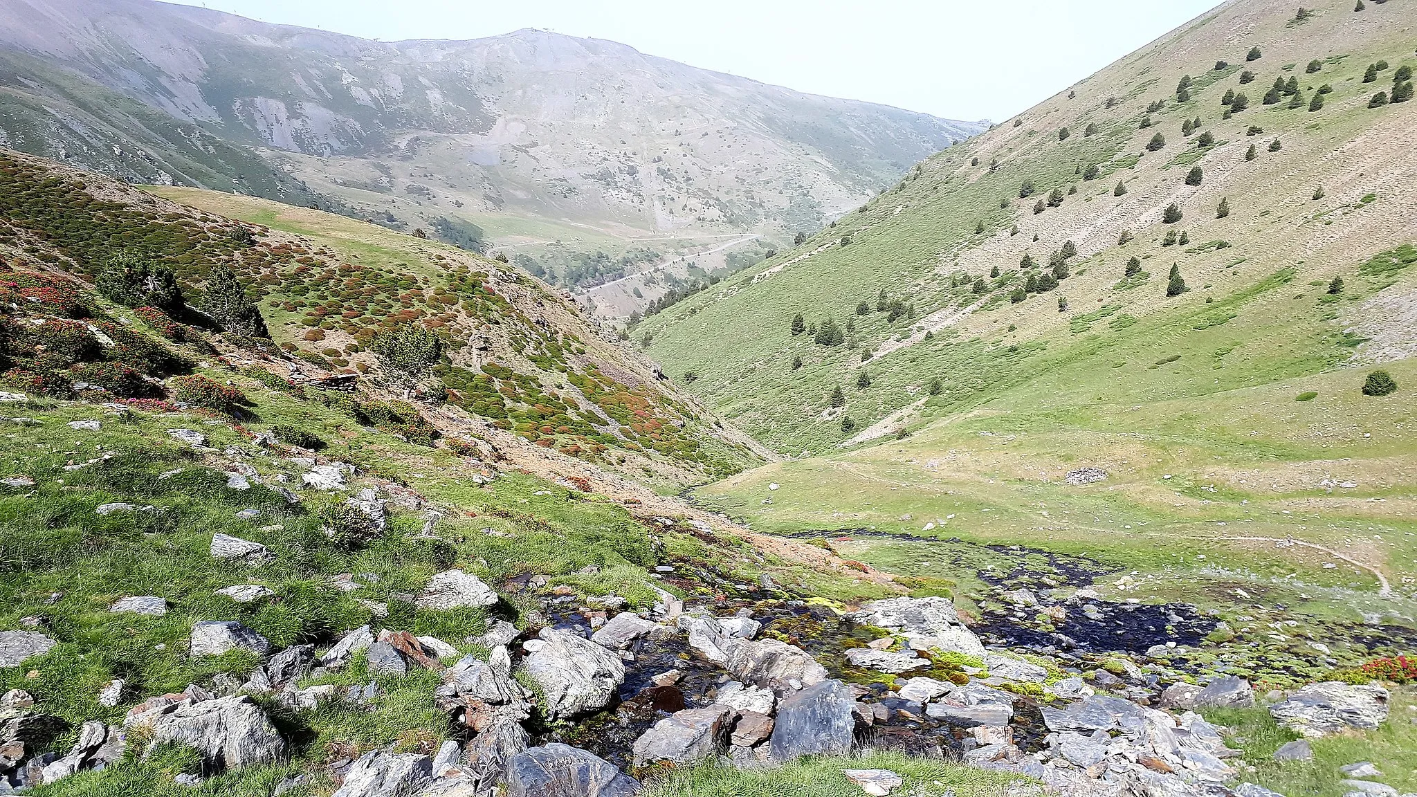 Photo showing: Source de la Ribera d'Err au lieu-dit Aigua Neix, altitude 2370m, en-dessous du pic Puigmal d'Err, Pyrénées-Orientales