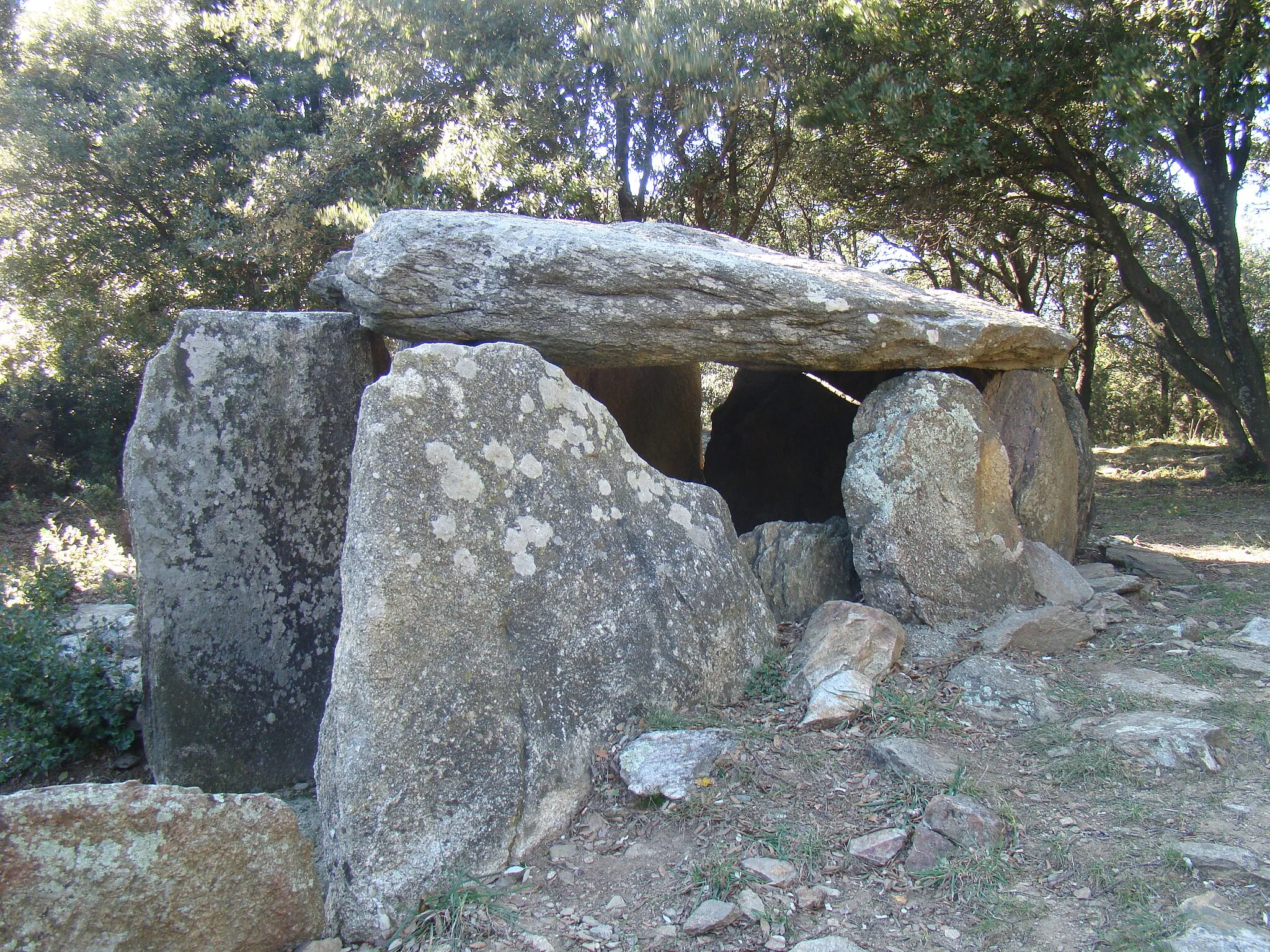Photo showing: Vue du dolmen de Balma de Na Cristiana de trois quarts droite