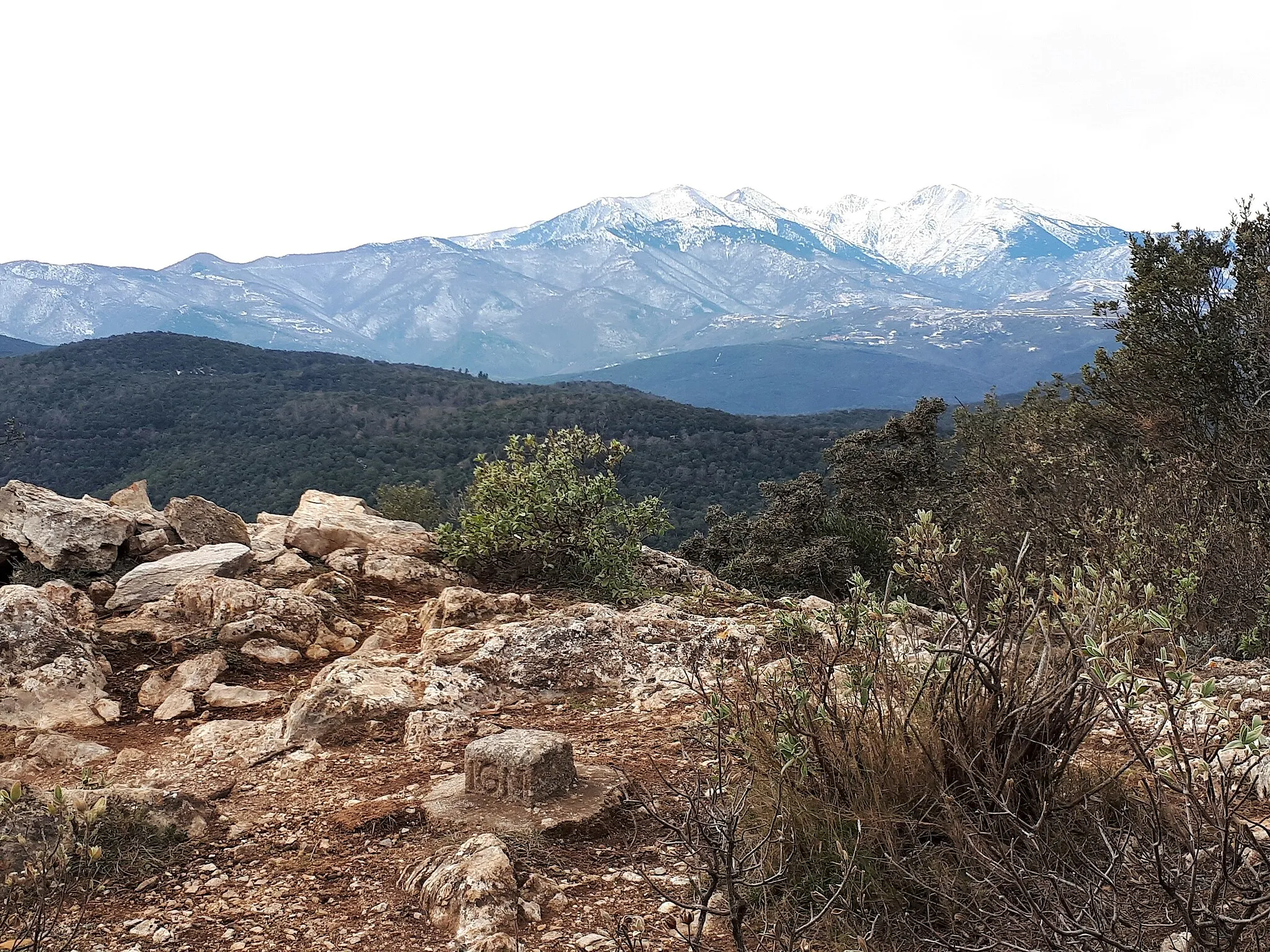 Photo showing: Vue depuis les abords du village d'Oms (Pyrénées-Orientales, 66) vers La Calcine (alt. 600 m).