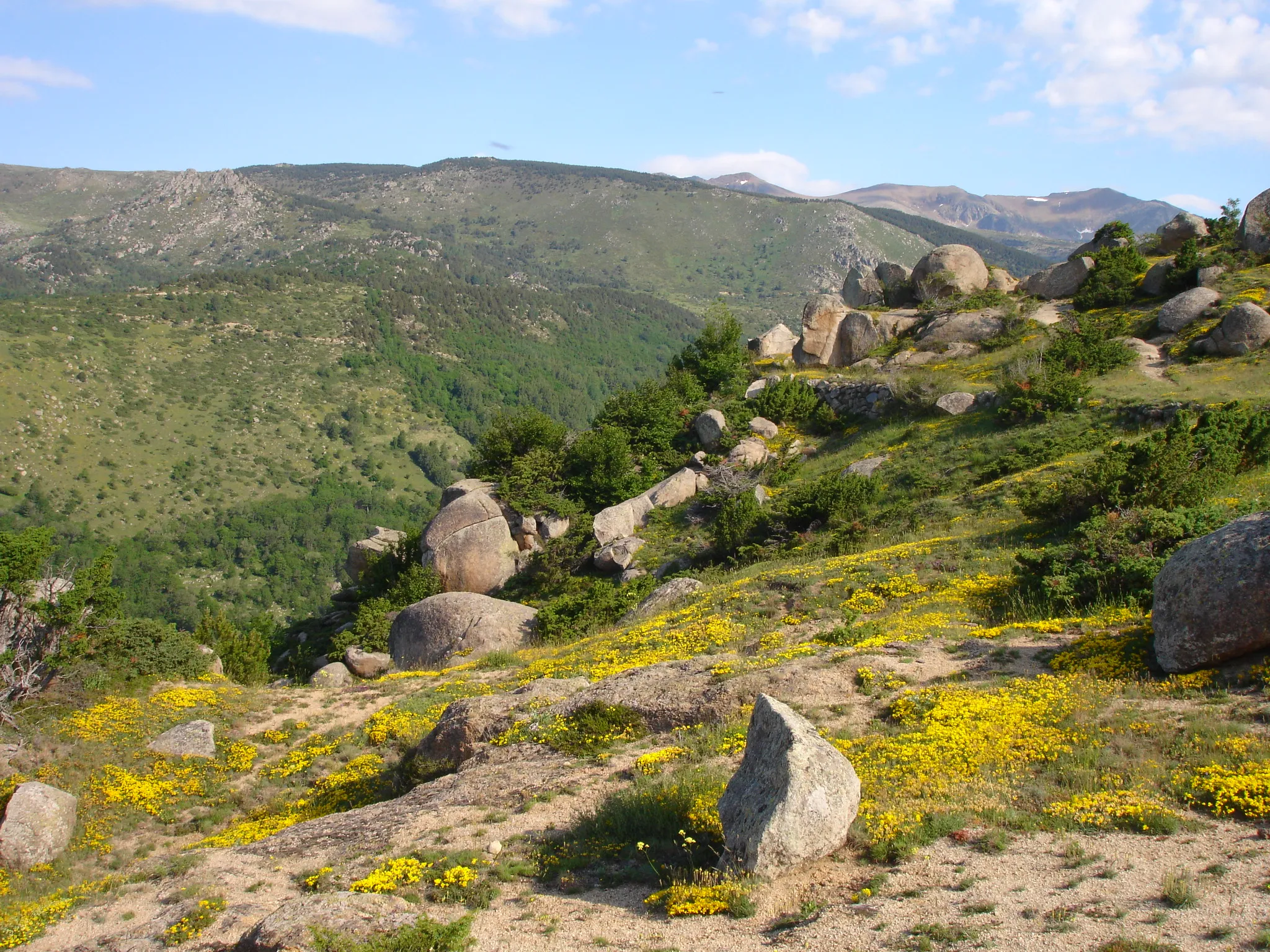 Photo showing: France,  Pyrénées-Orientales (66), chaos de Targassonne près de Font-Romeu-Odeillo-Via - chaos granitique