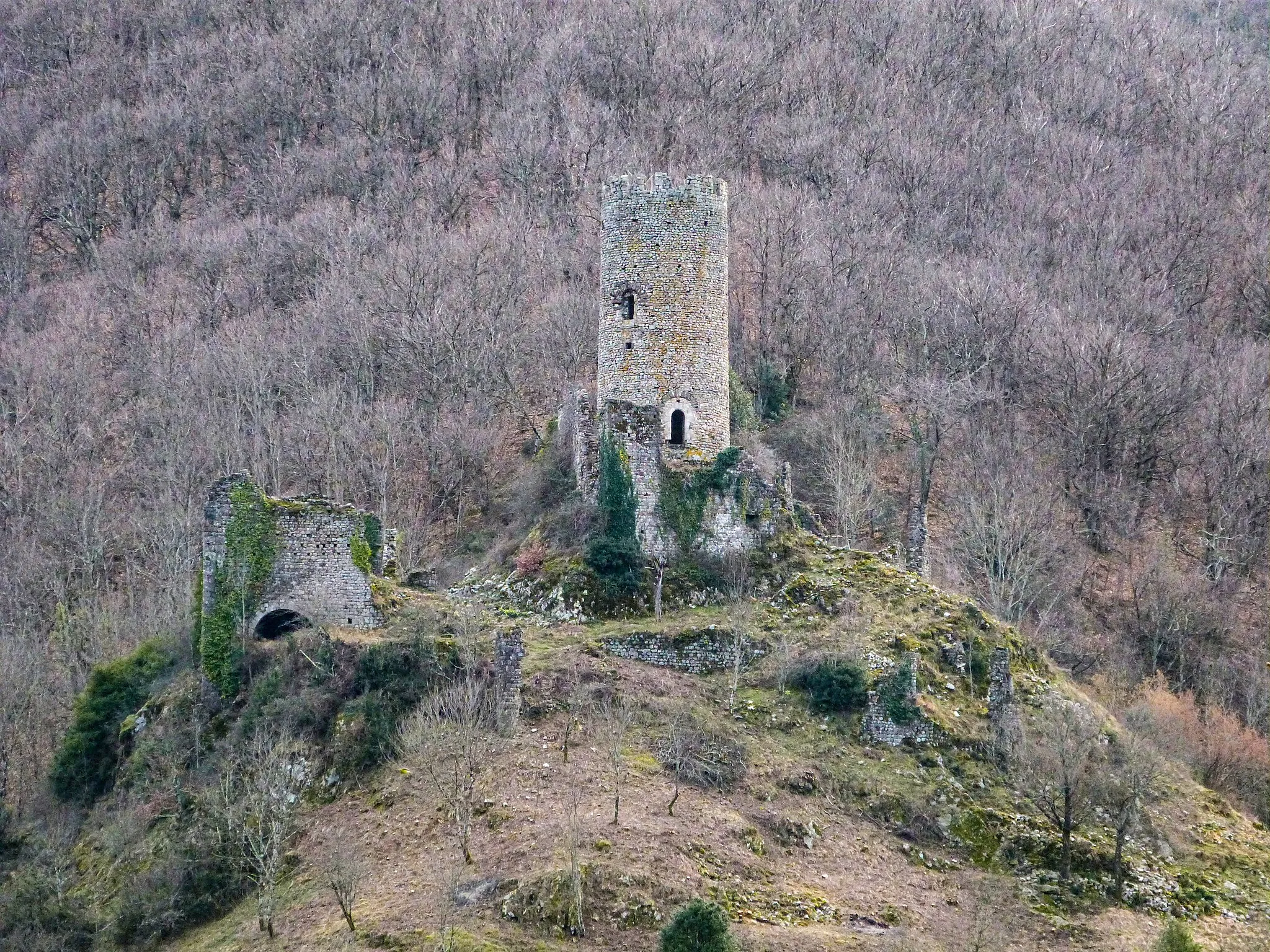Photo showing: Château de Chadenac sur la commune de Barnas (Ardèche), vu depuis la RN102, le 9 mars 2023.