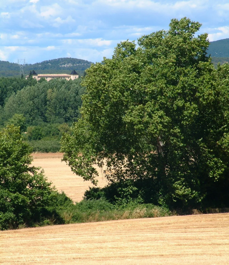 Photo showing: Panorama sur la plaine agricole de la haute vallée du Lez et le château de Restinclière, depuis la piste cyclable