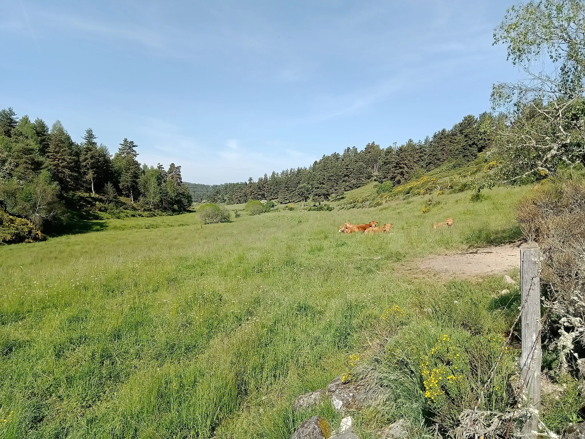 Photo showing: Paysage à Bigose, Fontans, Lozère, France