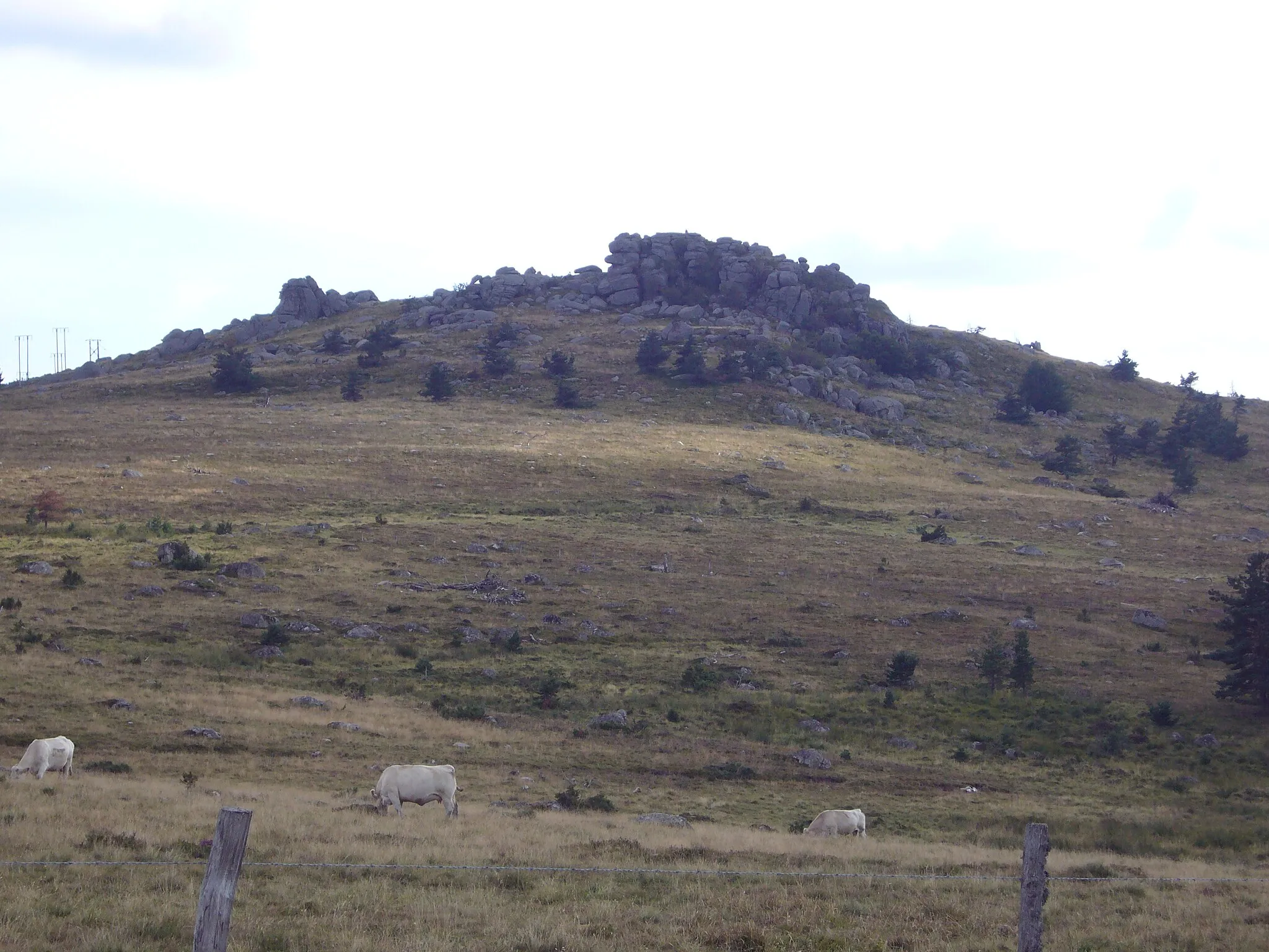 Photo showing: Le signal de Randon (1551 m), point culminant de la Margeride (Lozère), vu du col du Cheval Mort.