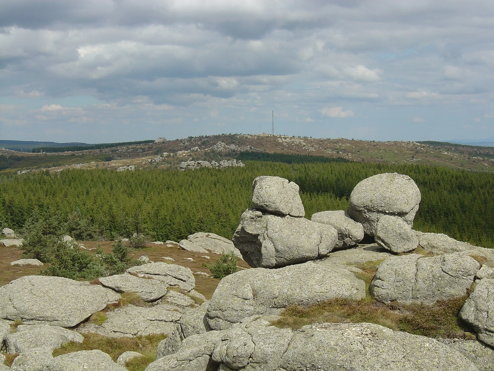 Photo showing: Le Signal de Randon (1551m) vu depuis le Truc de Fortunio