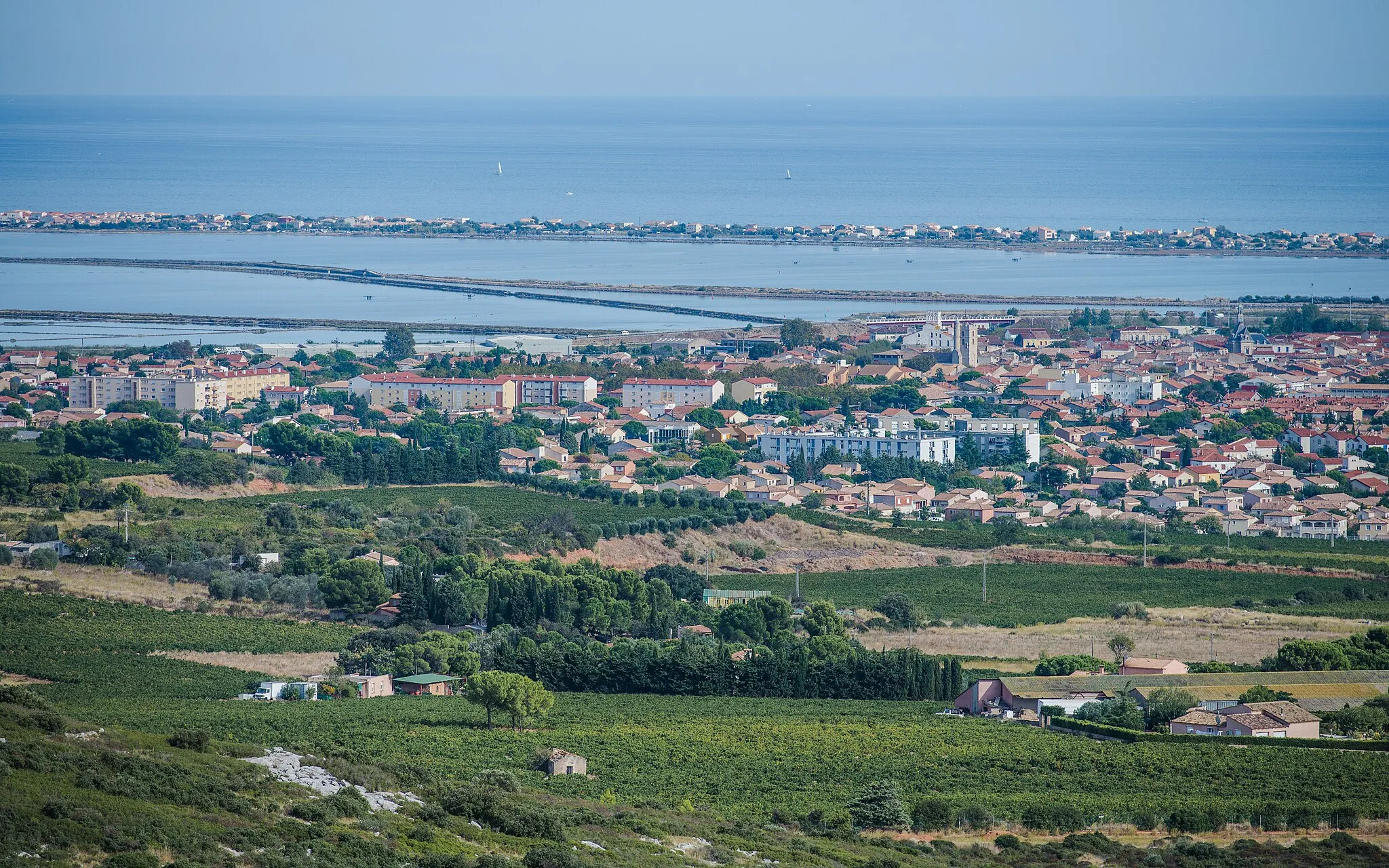 Photo showing: In foreground, the vineyard of  Muscat de Frontignan (an appellation d'origine contrôlée), the town of Frontignan and in the background the Étang d'Ingril with the Canal du Rhône à Sète, Frontignan-Plage and the Mediterranean Sea. Frontignan, Hérault, France.