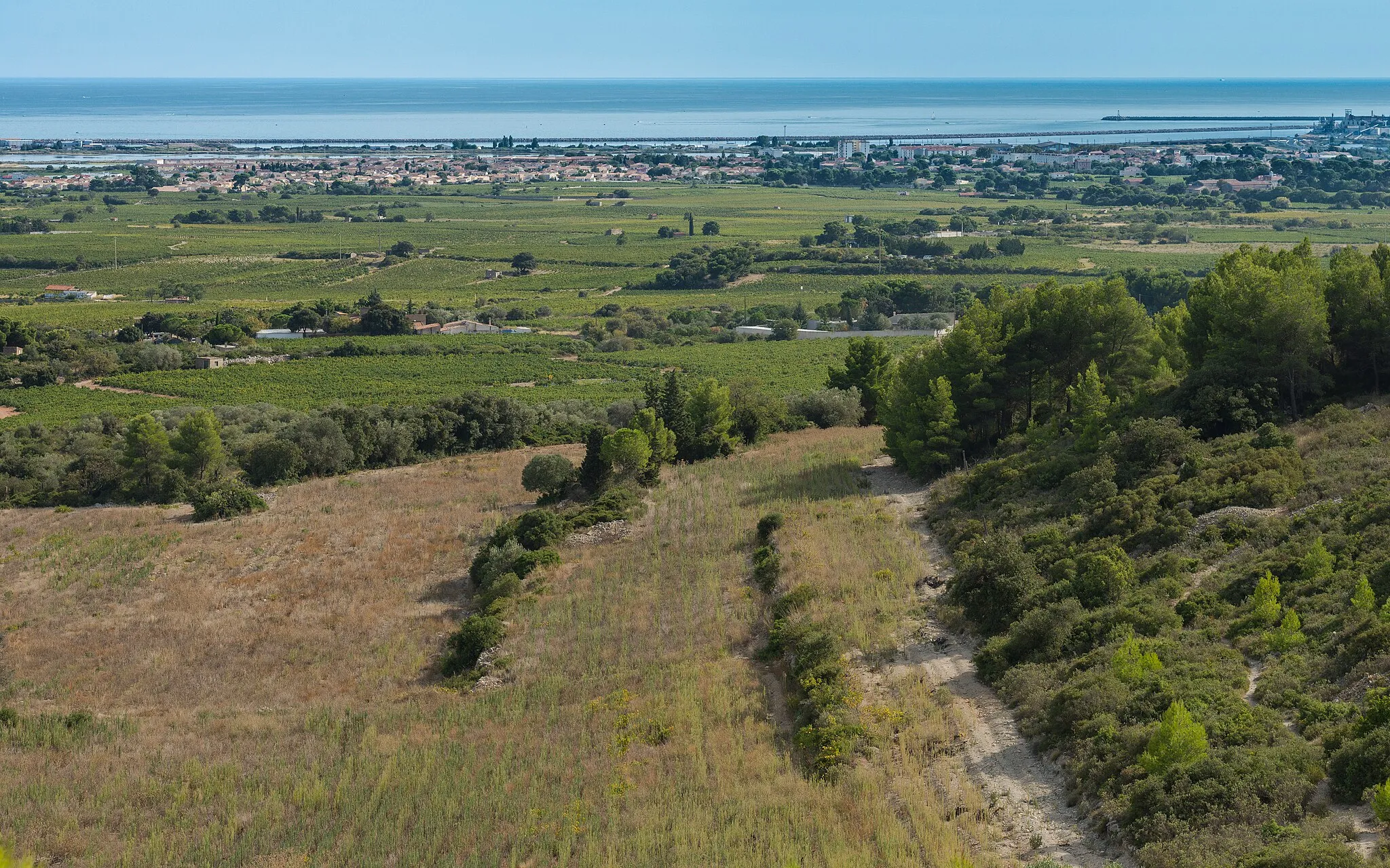 Photo showing: Landscape in Frontignan, Hérault, France.