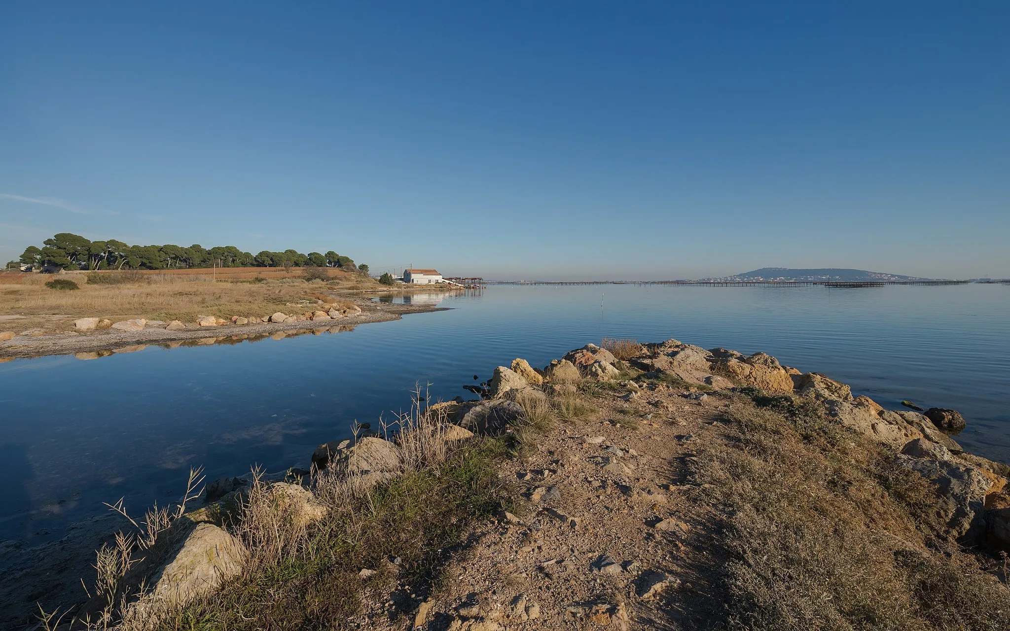 Photo showing: Eastern end of the communal area. At left the stream "du Pallas" and the place "Saint-Félix" in Loupian, the Étang de Thau and Sète on the right in the backgroud. Mèze, Hérault, France.